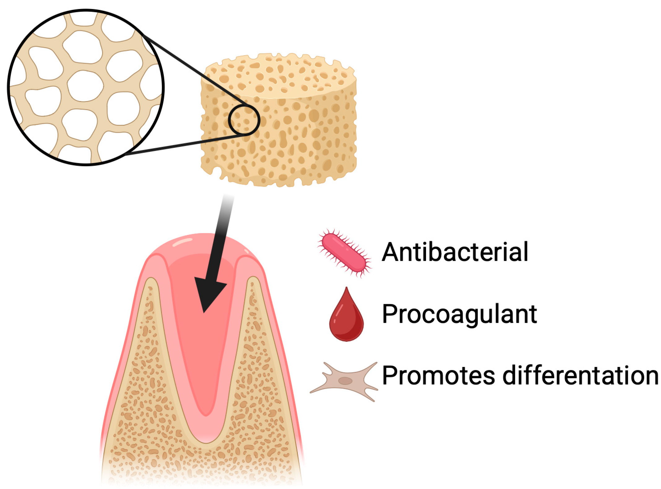 Pharmaceutics 17 01622 g006