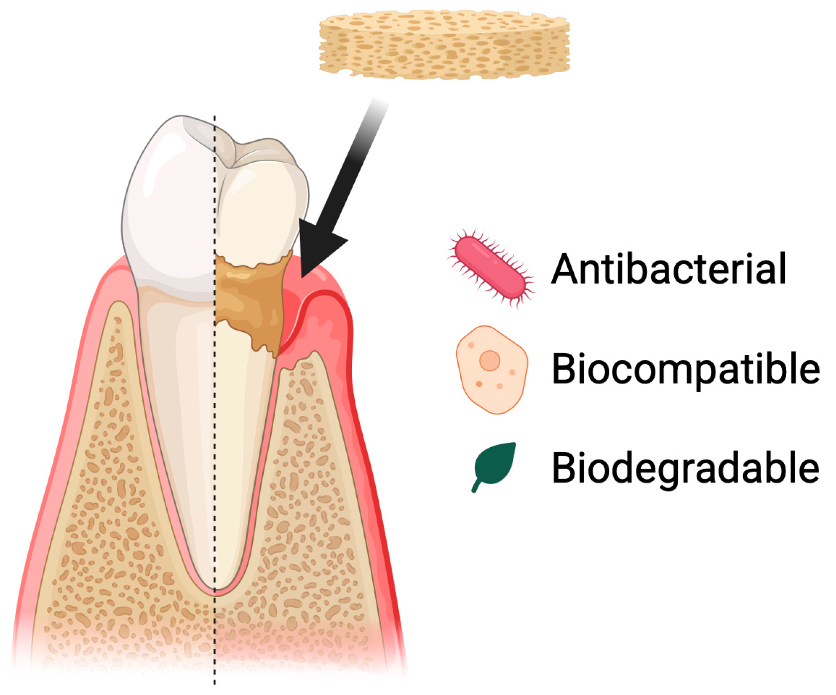 Pharmaceutics 17 01622 g007