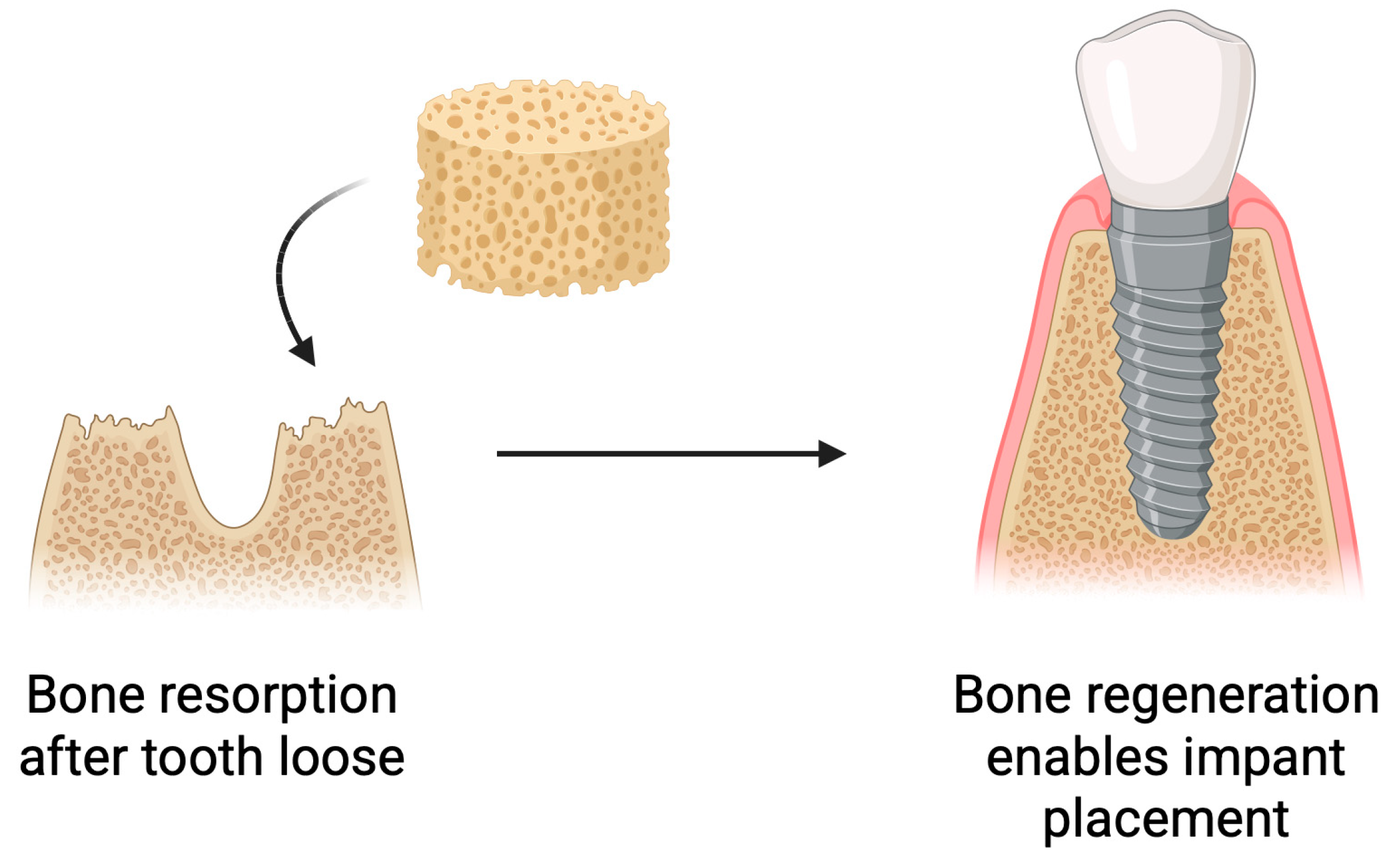 Pharmaceutics 17 01622 g008