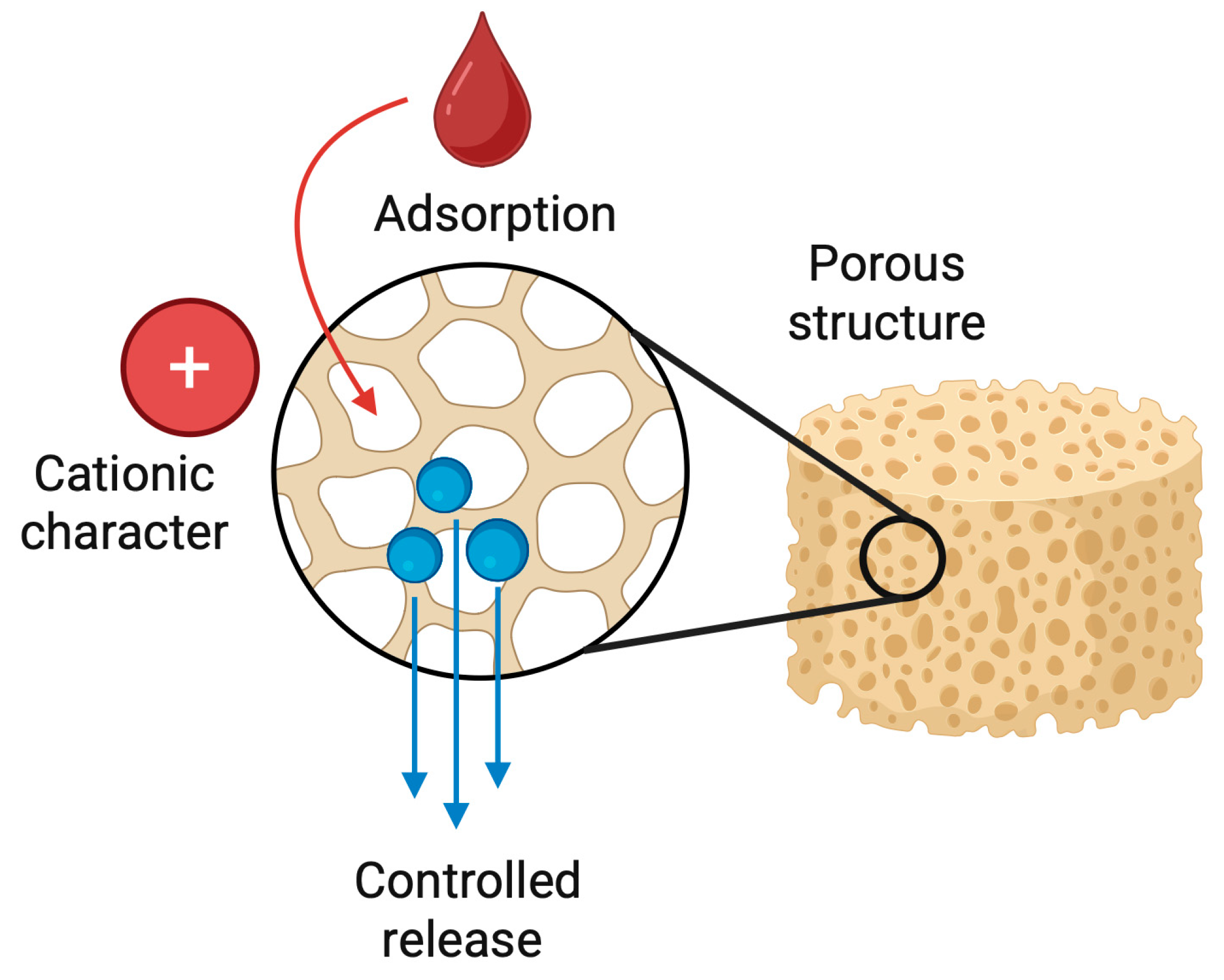 Pharmaceutics 17 01622 g009