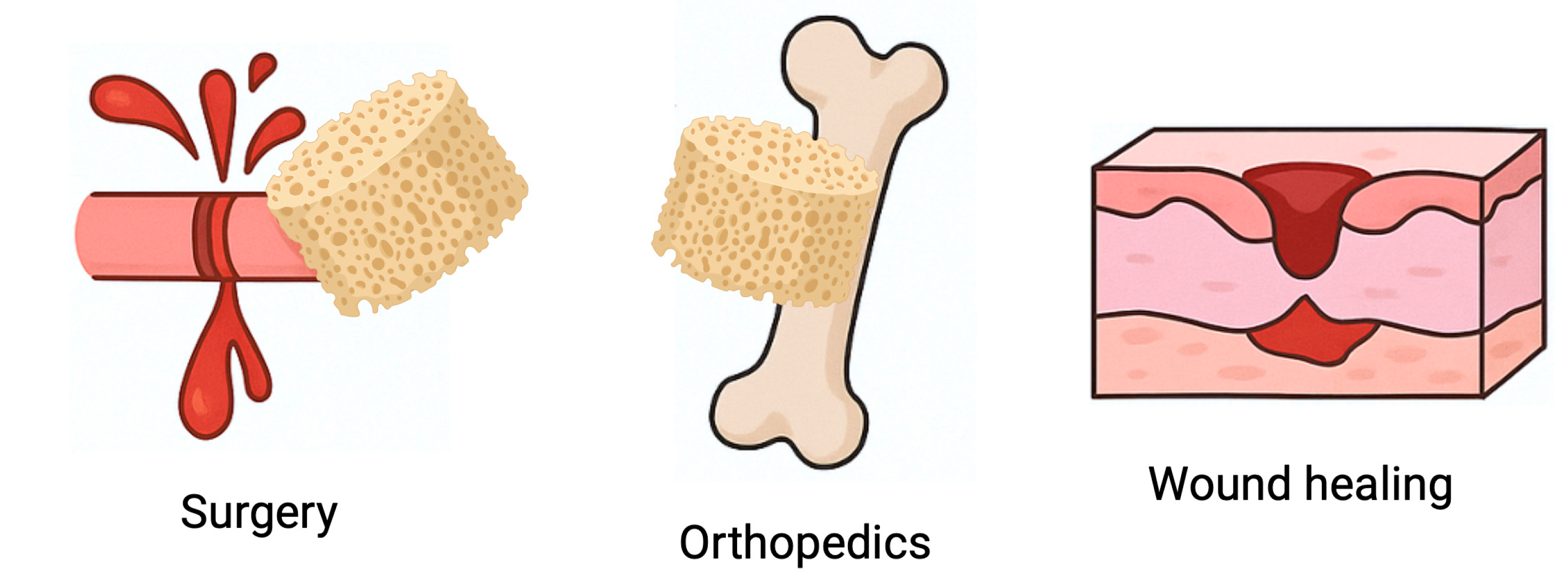Pharmaceutics 17 01622 g012