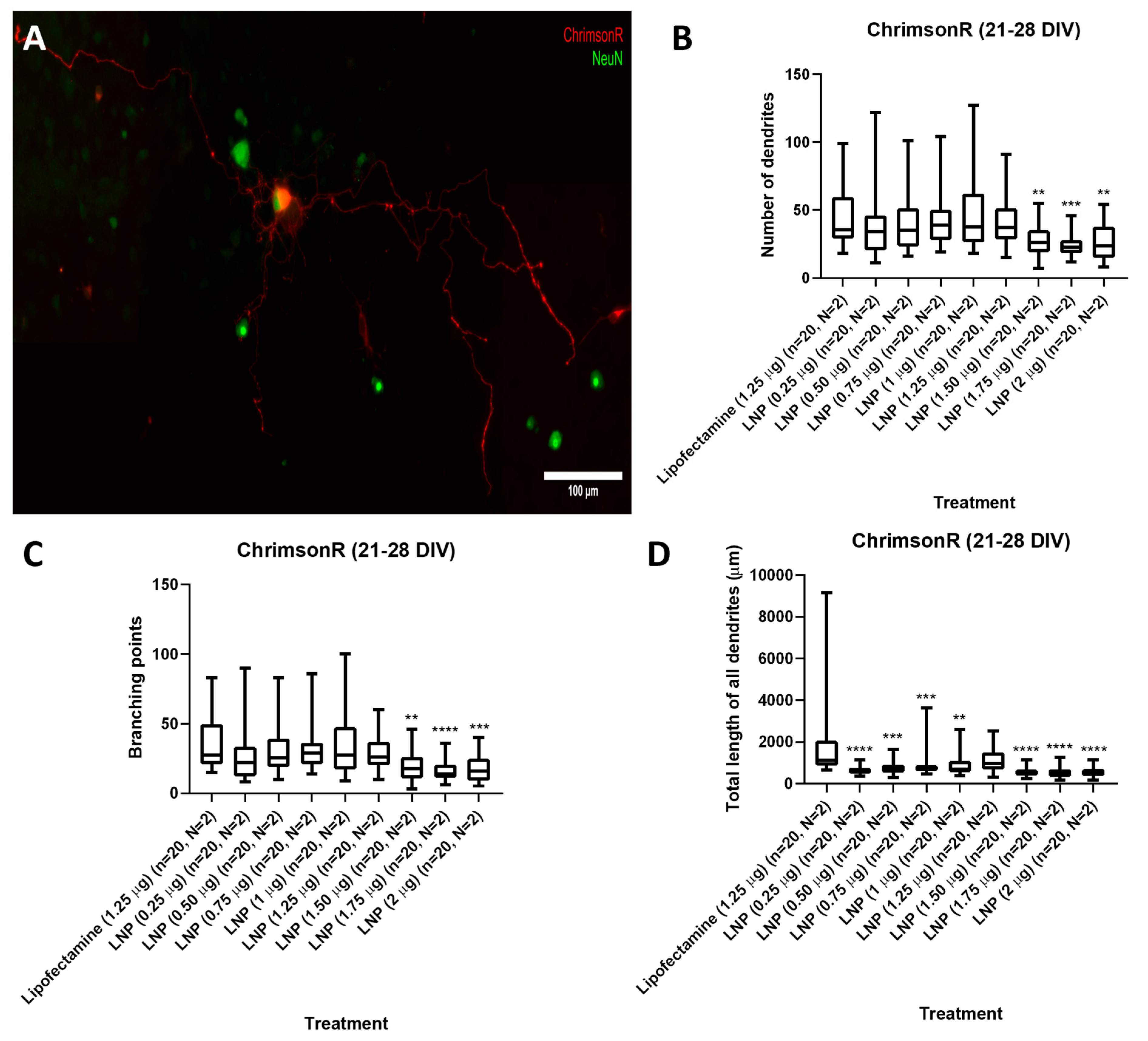 Pharmaceutics 18 00004 g002