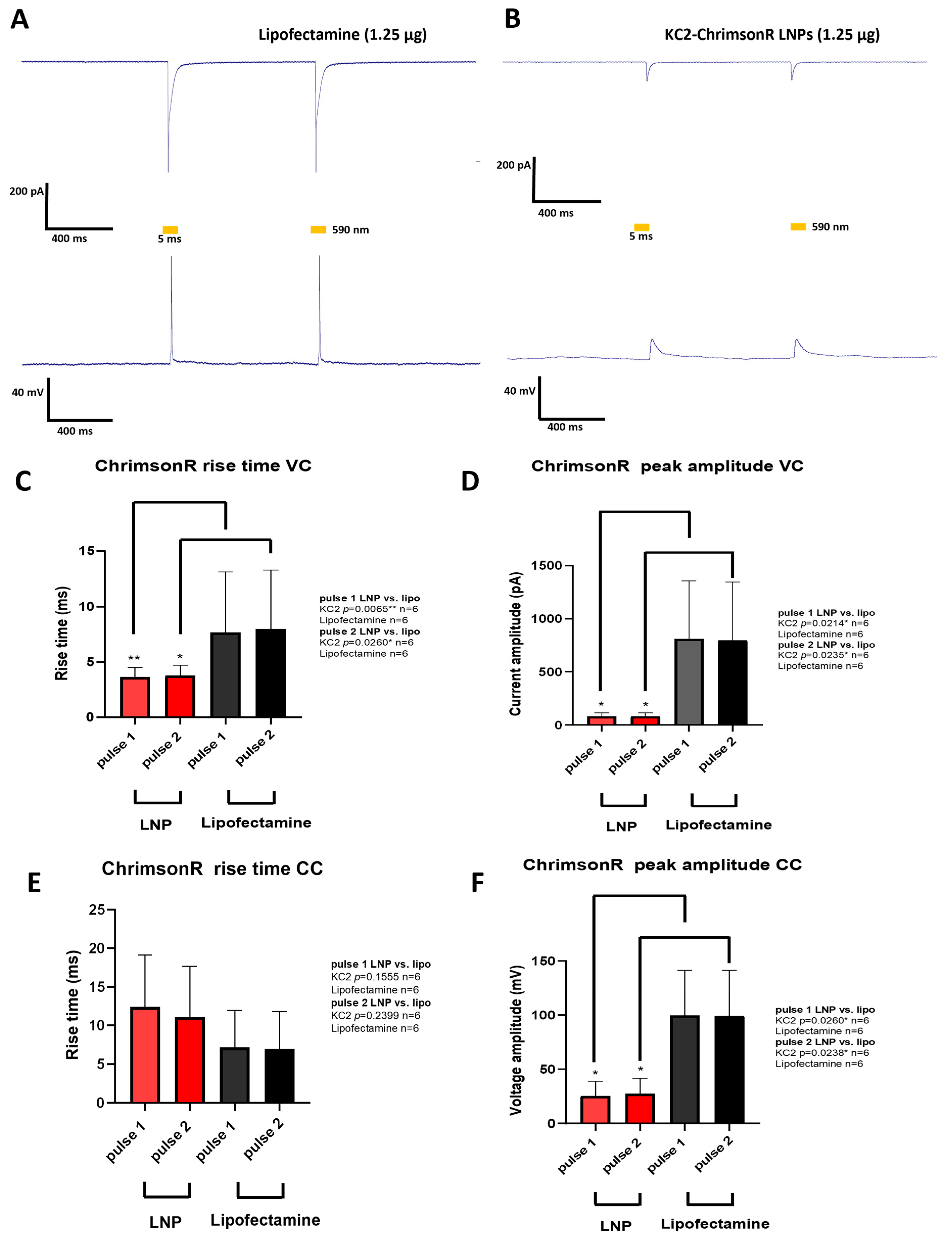Pharmaceutics 18 00004 g004
