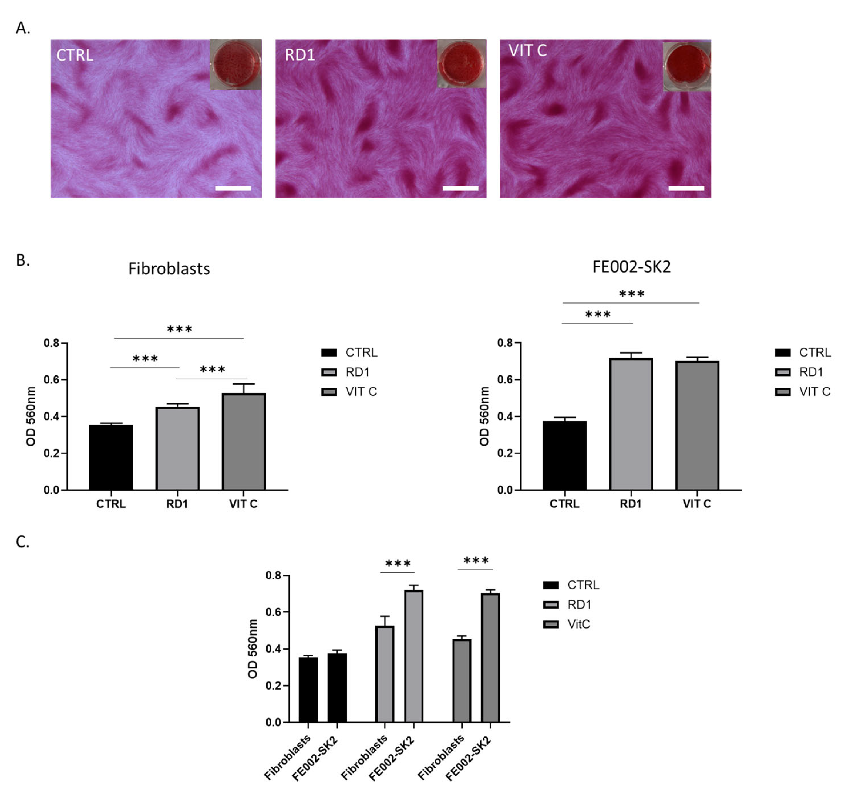 Pharmaceutics 18 00021 g003