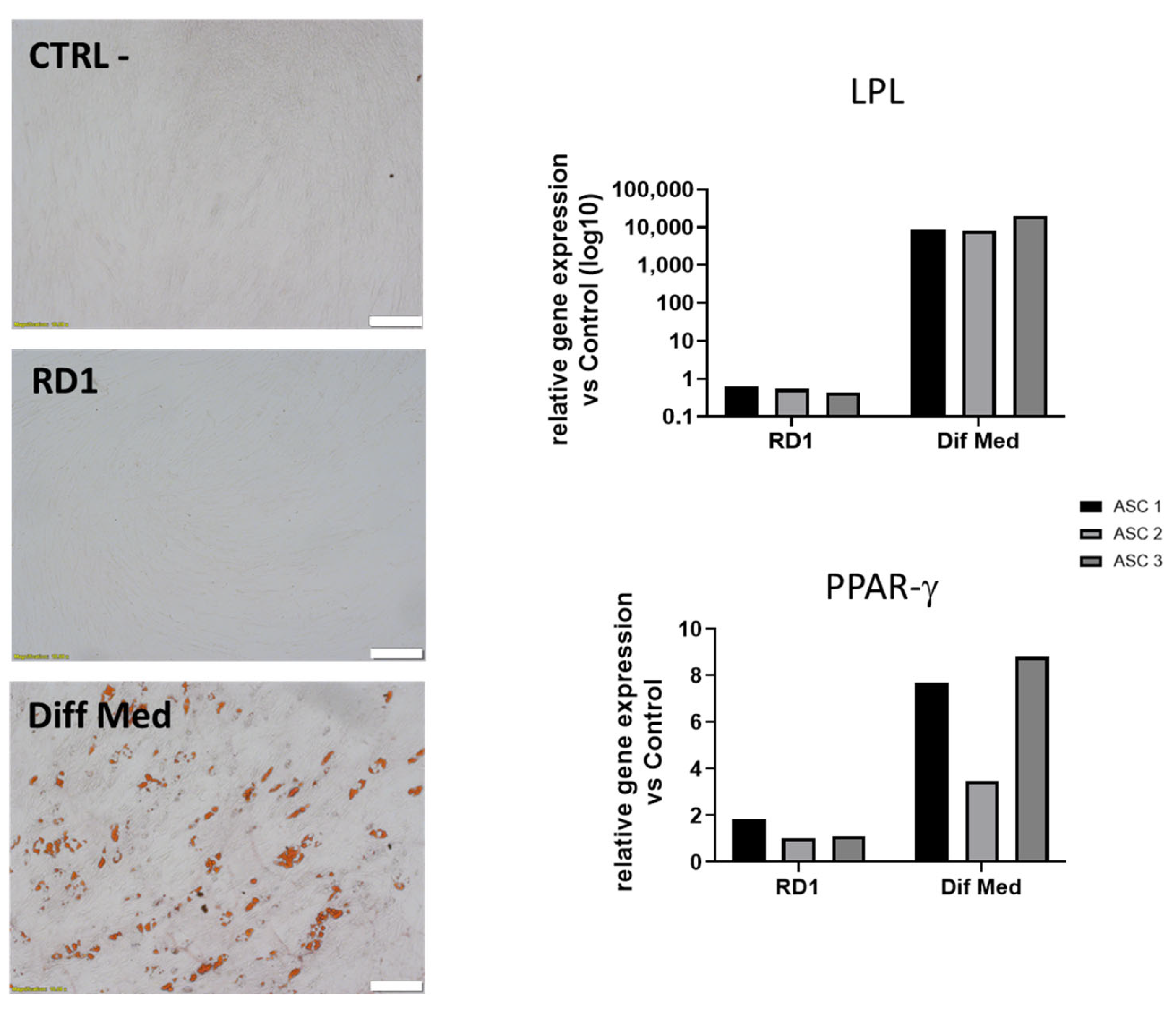 Pharmaceutics 18 00021 g004