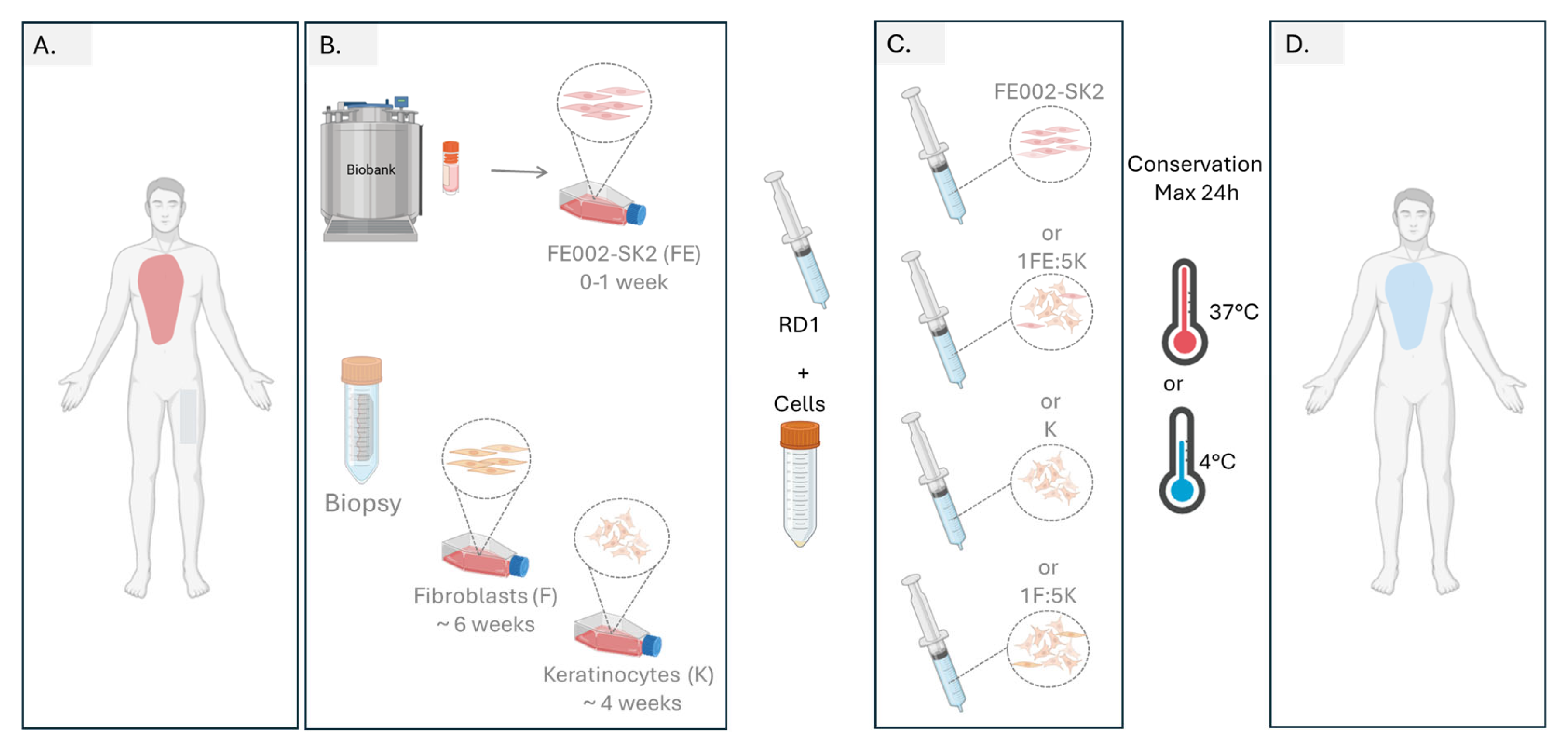 Pharmaceutics 18 00021 g009