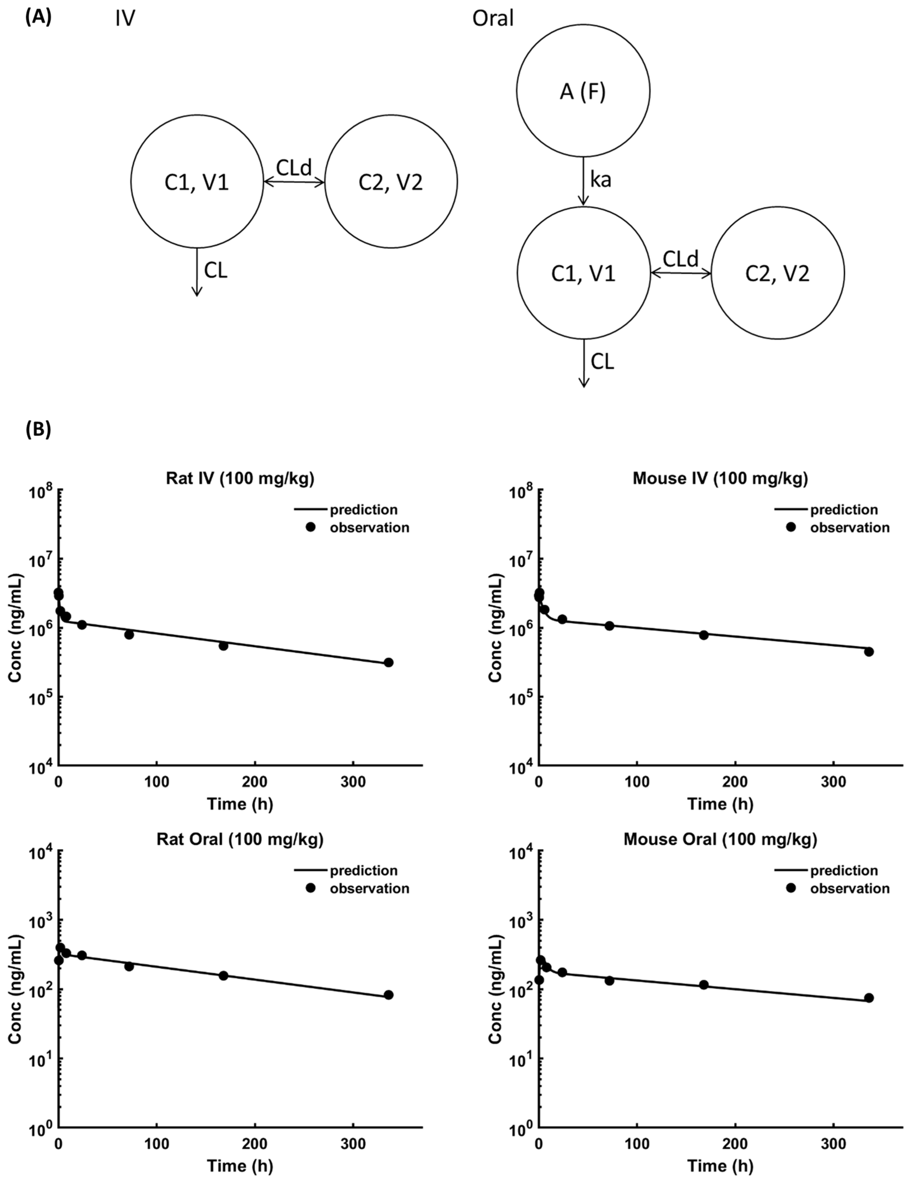 Pharmaceutics 18 00022 g002