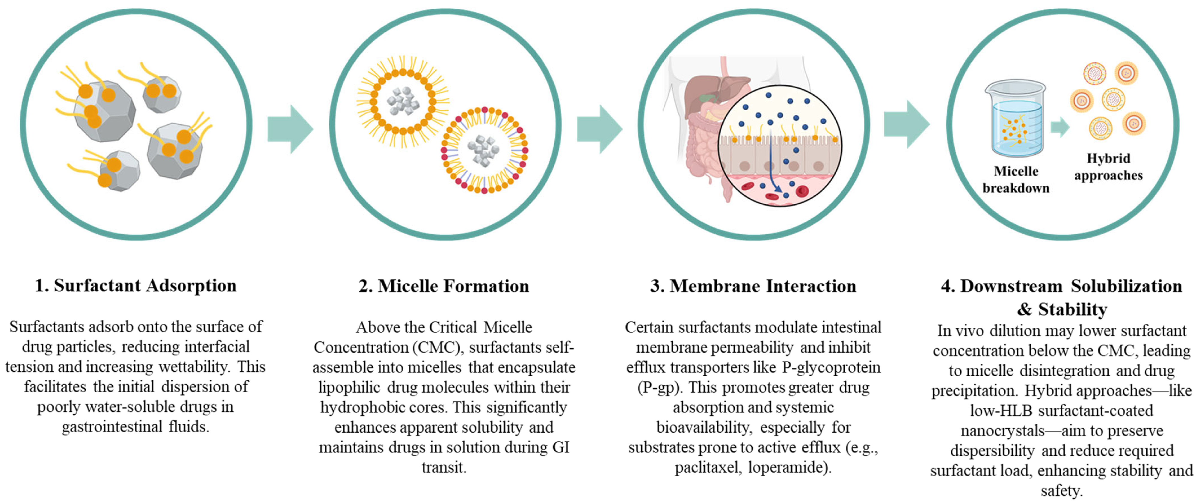 Pharmaceutics 18 00037 g001