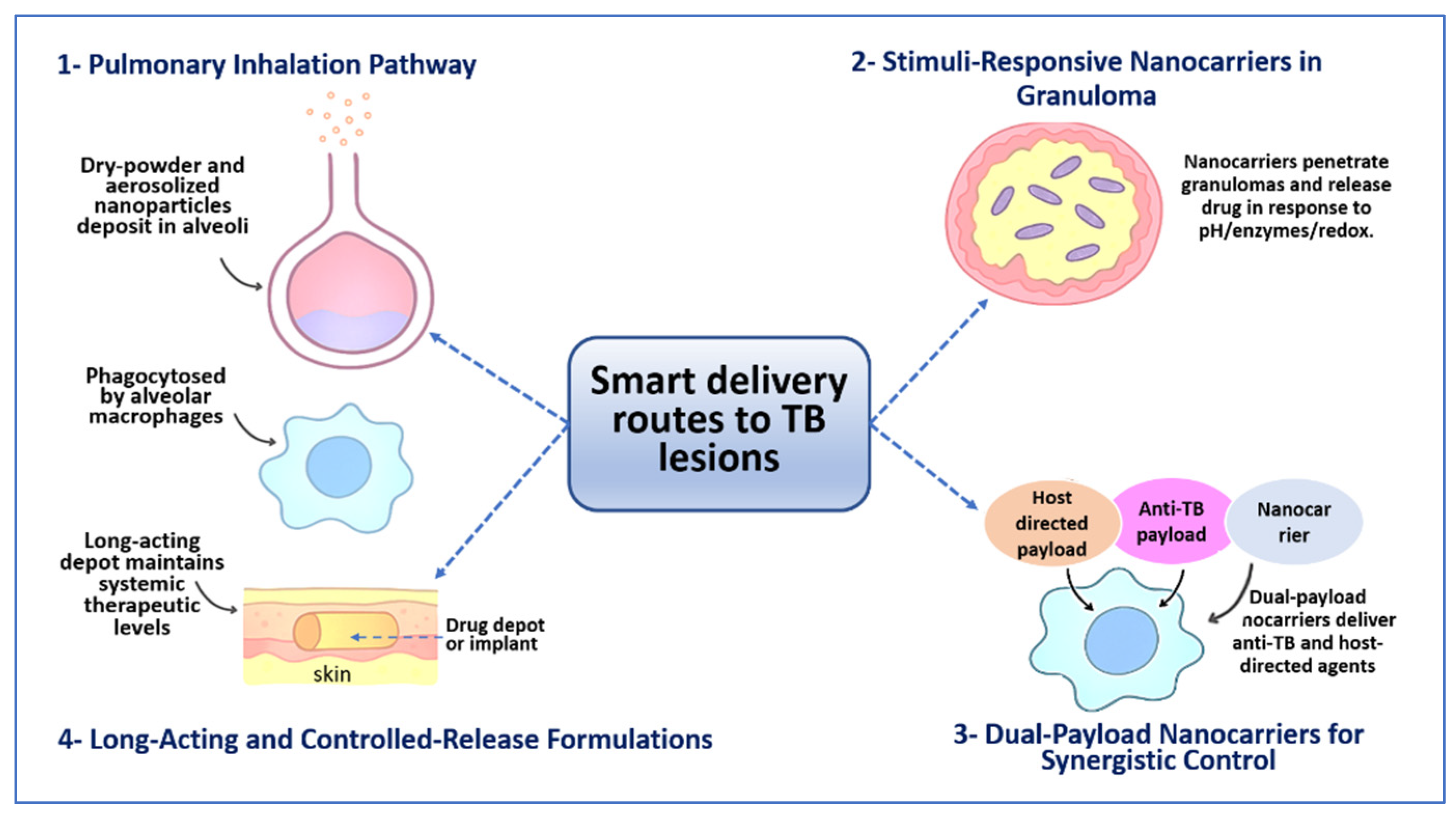 Pharmaceutics 18 00060 g002 Pharmaceutics 18 00060 g002