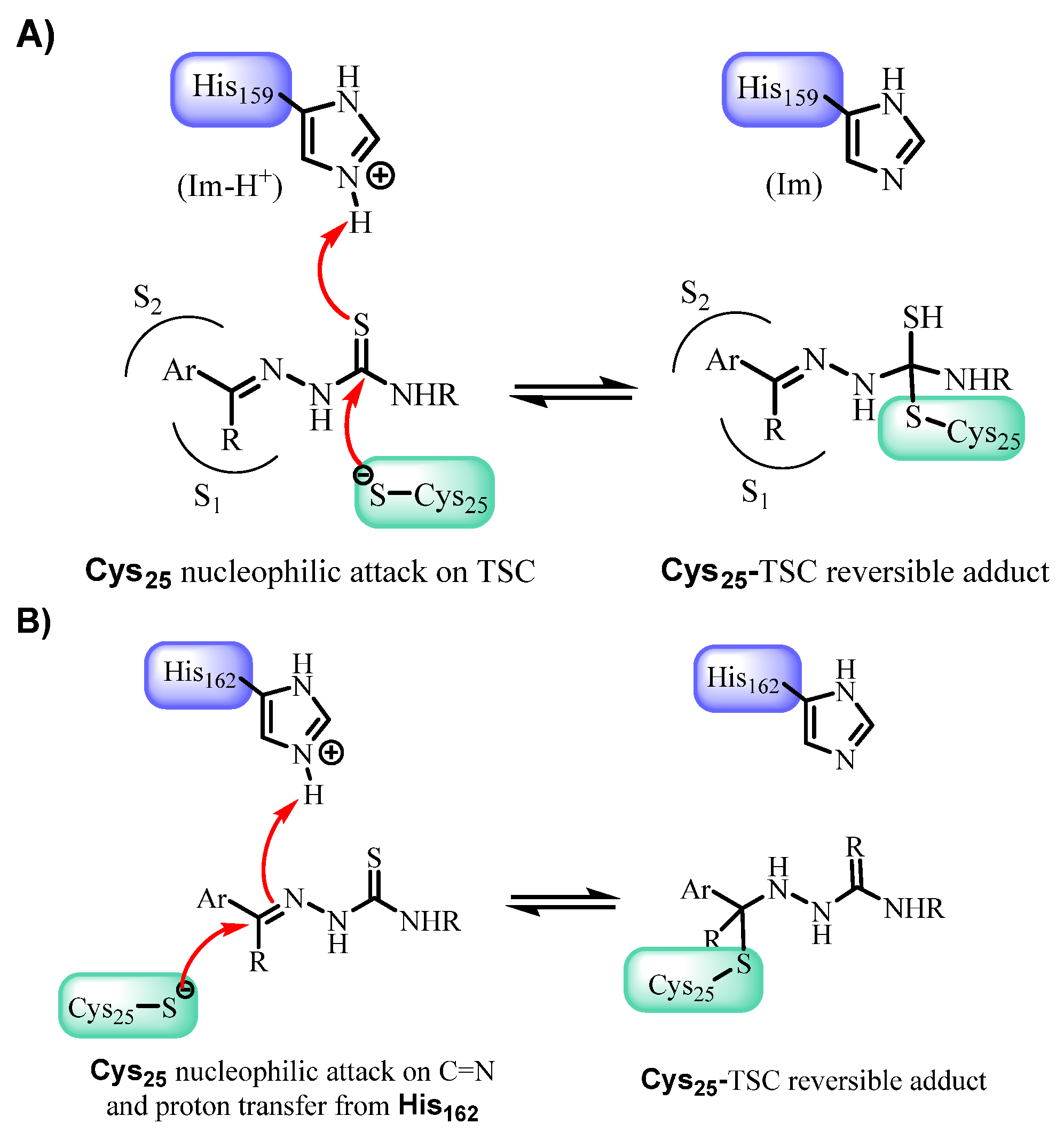 Pharmaceutics 18 00065 g005