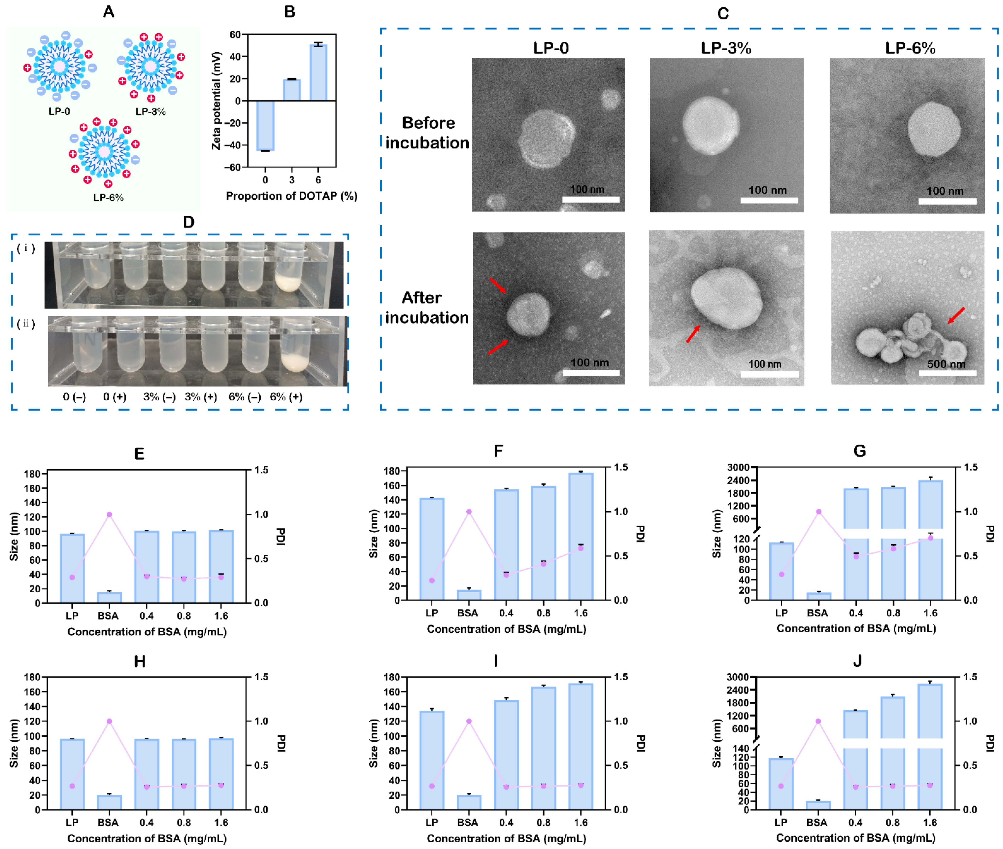 Pharmaceutics 18 00076 g001