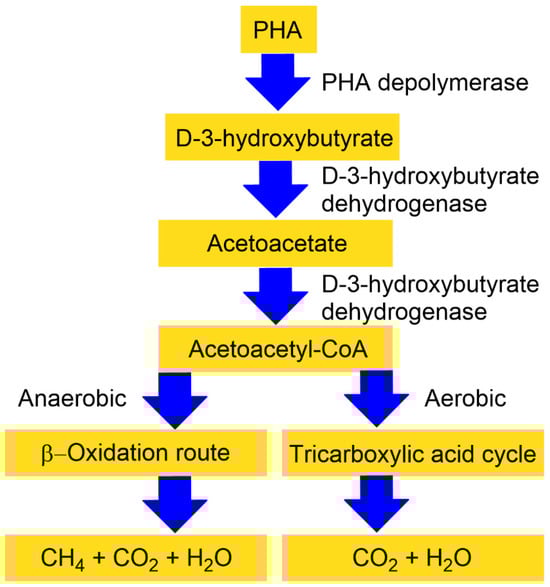 Pharmaceutics 18 00082 g003