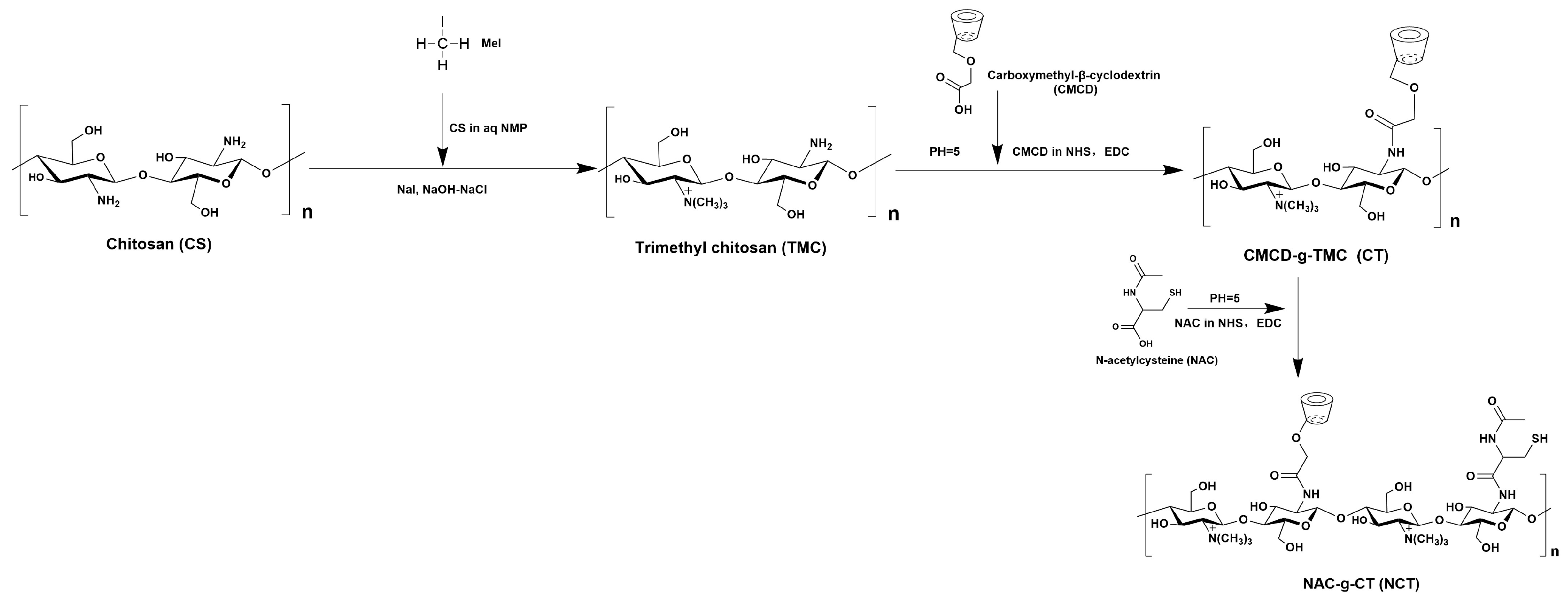 Pharmaceutics 18 00097 g001