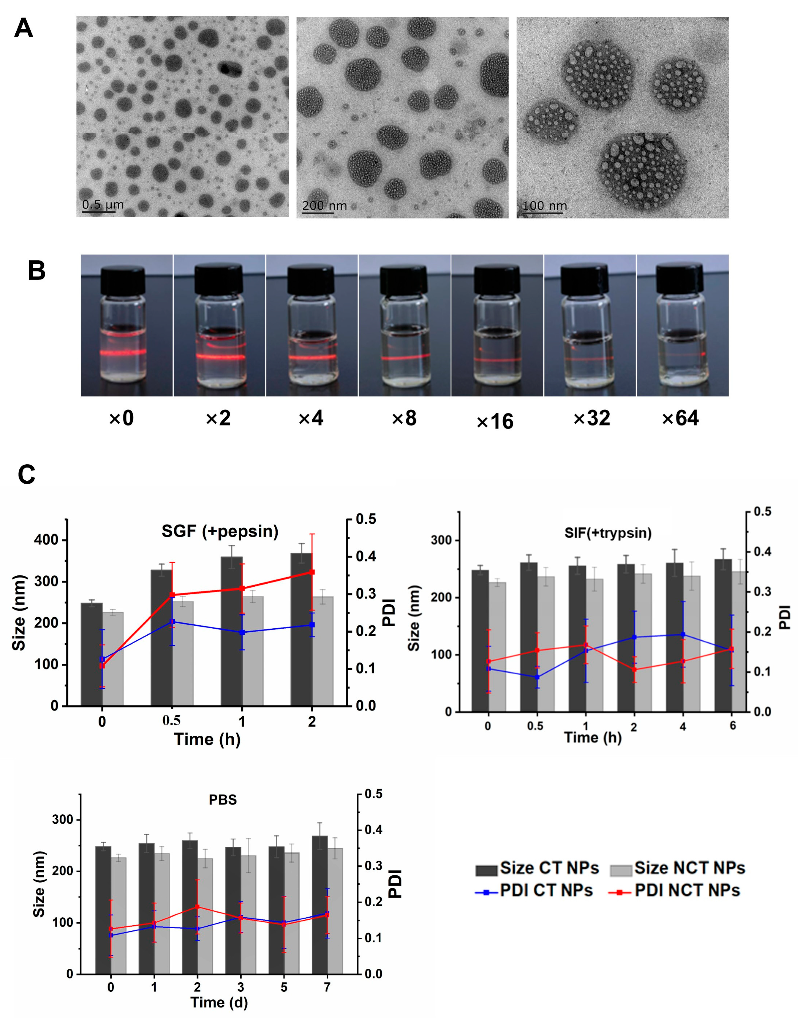 Pharmaceutics 18 00097 g003