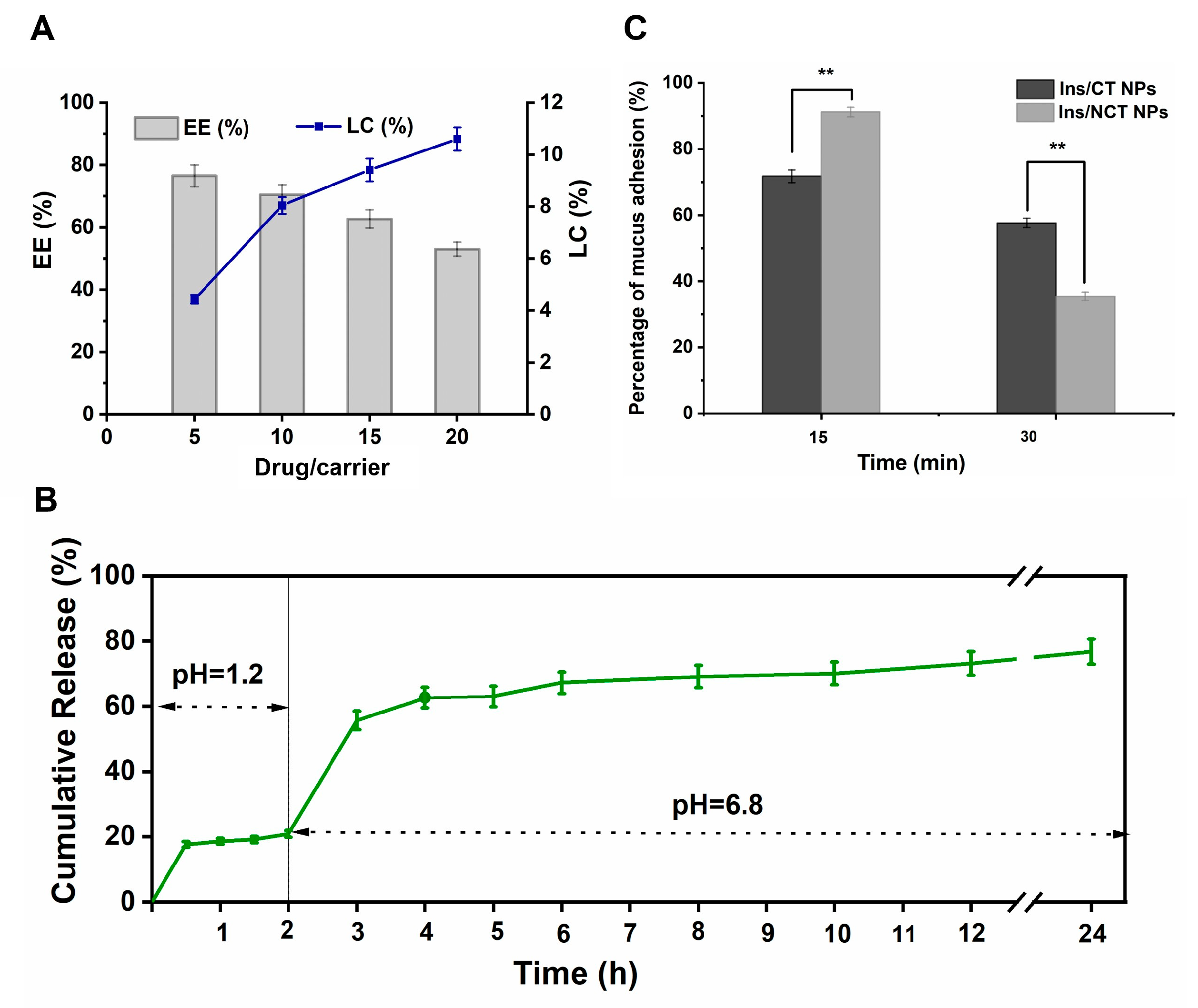 Pharmaceutics 18 00097 g004