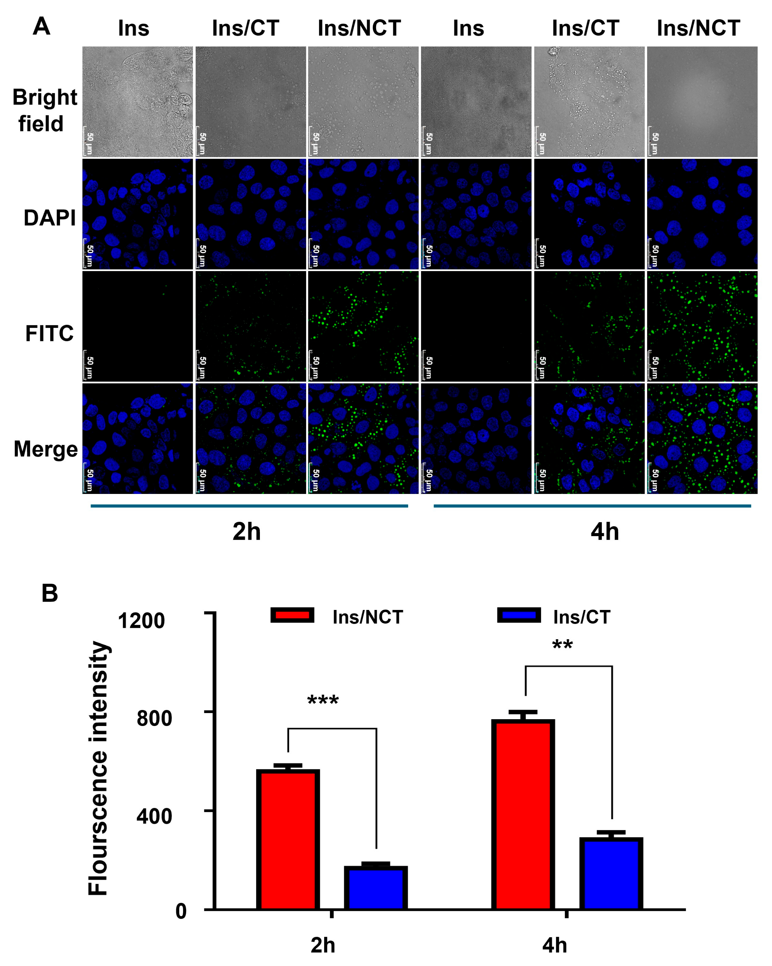 Pharmaceutics 18 00097 g005