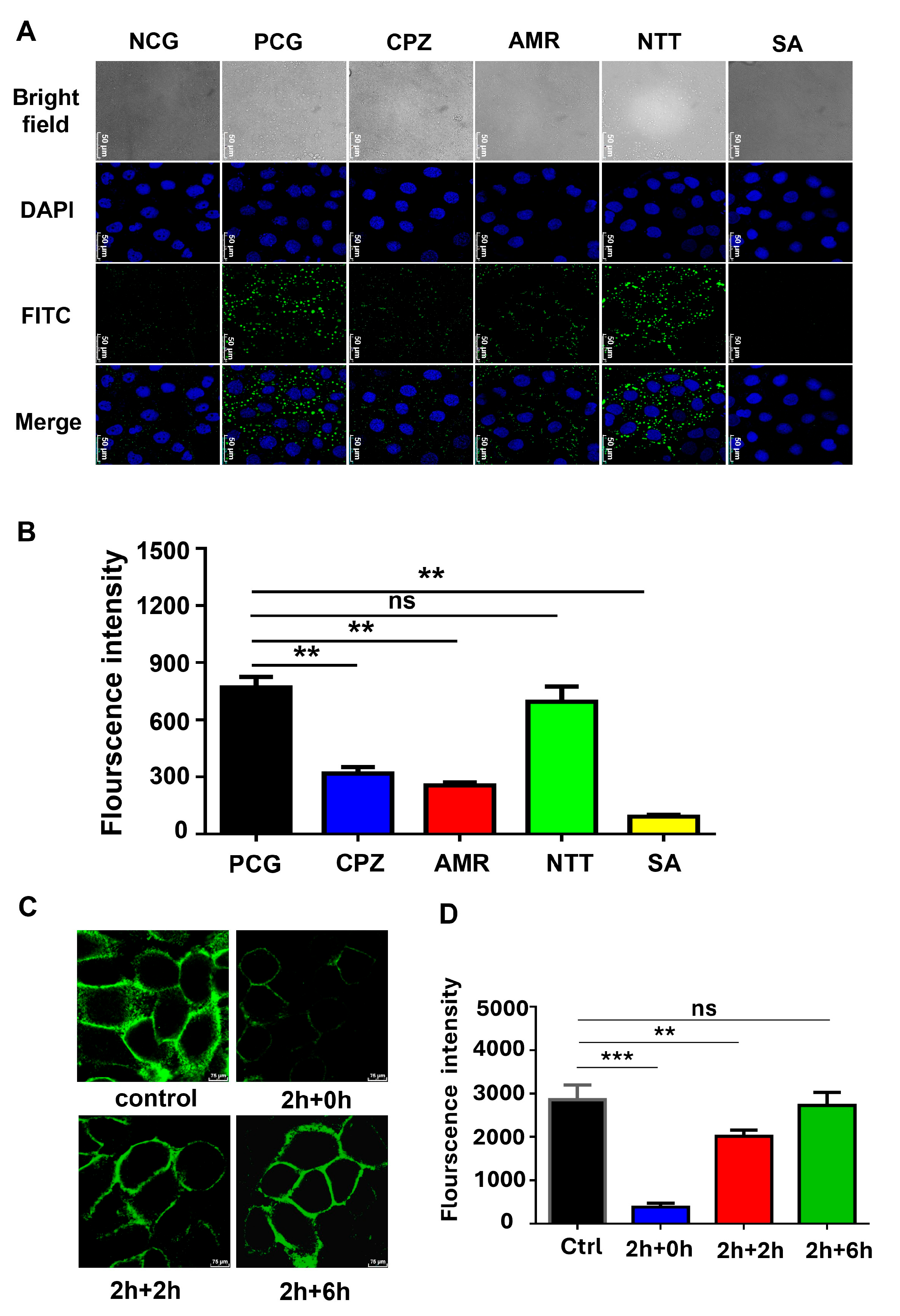 Pharmaceutics 18 00097 g006