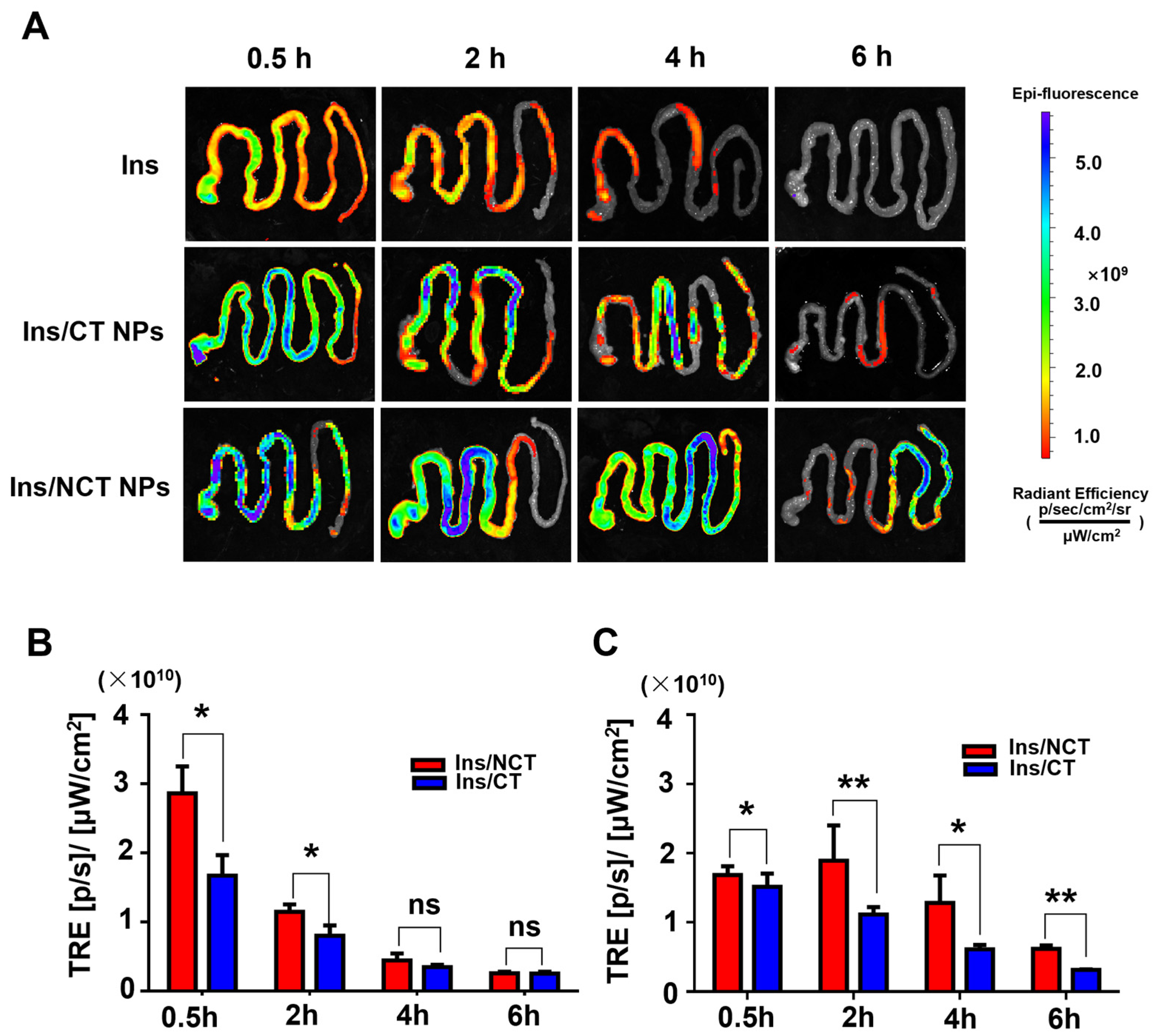 Pharmaceutics 18 00097 g007