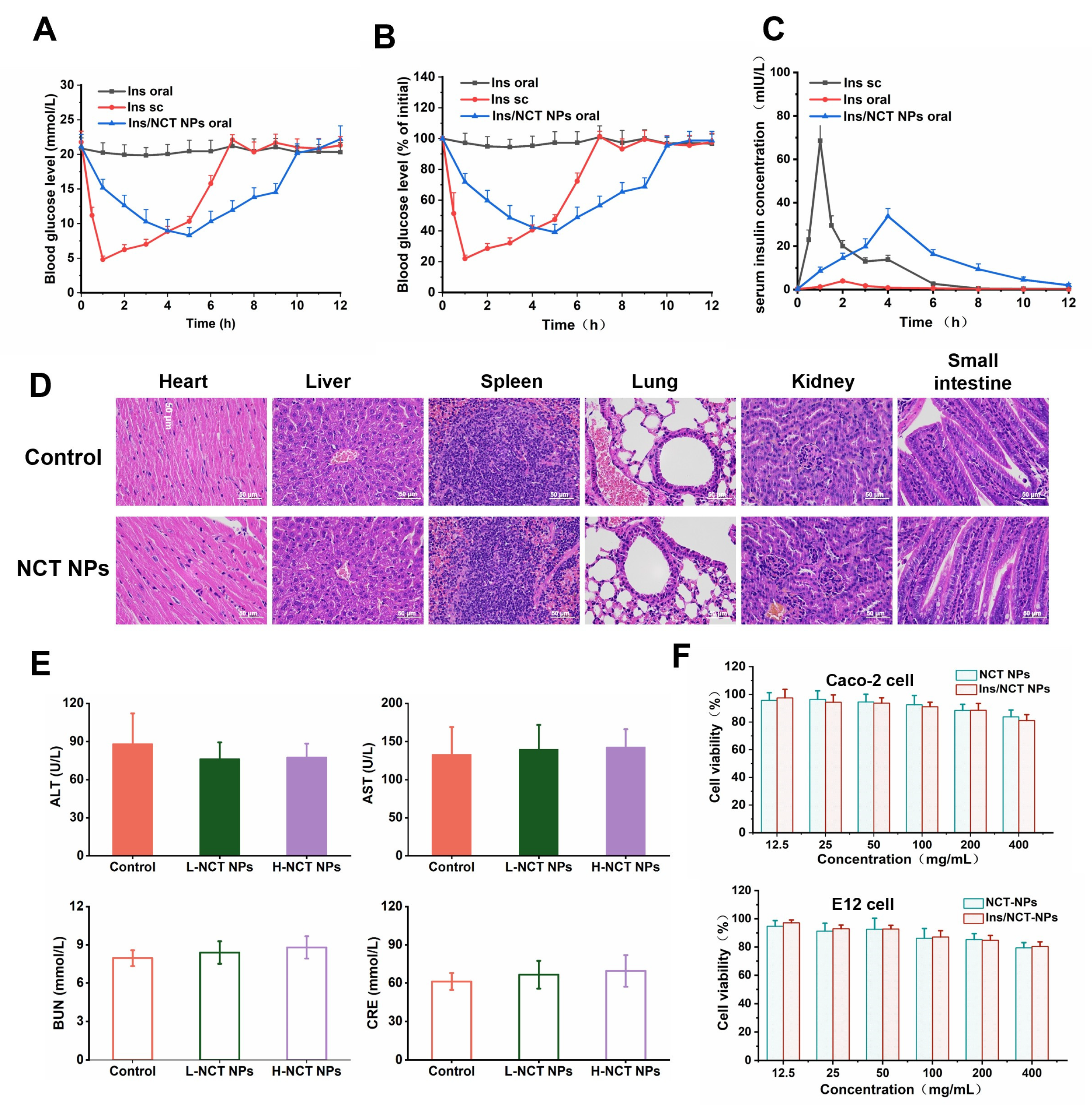 Pharmaceutics 18 00097 g008