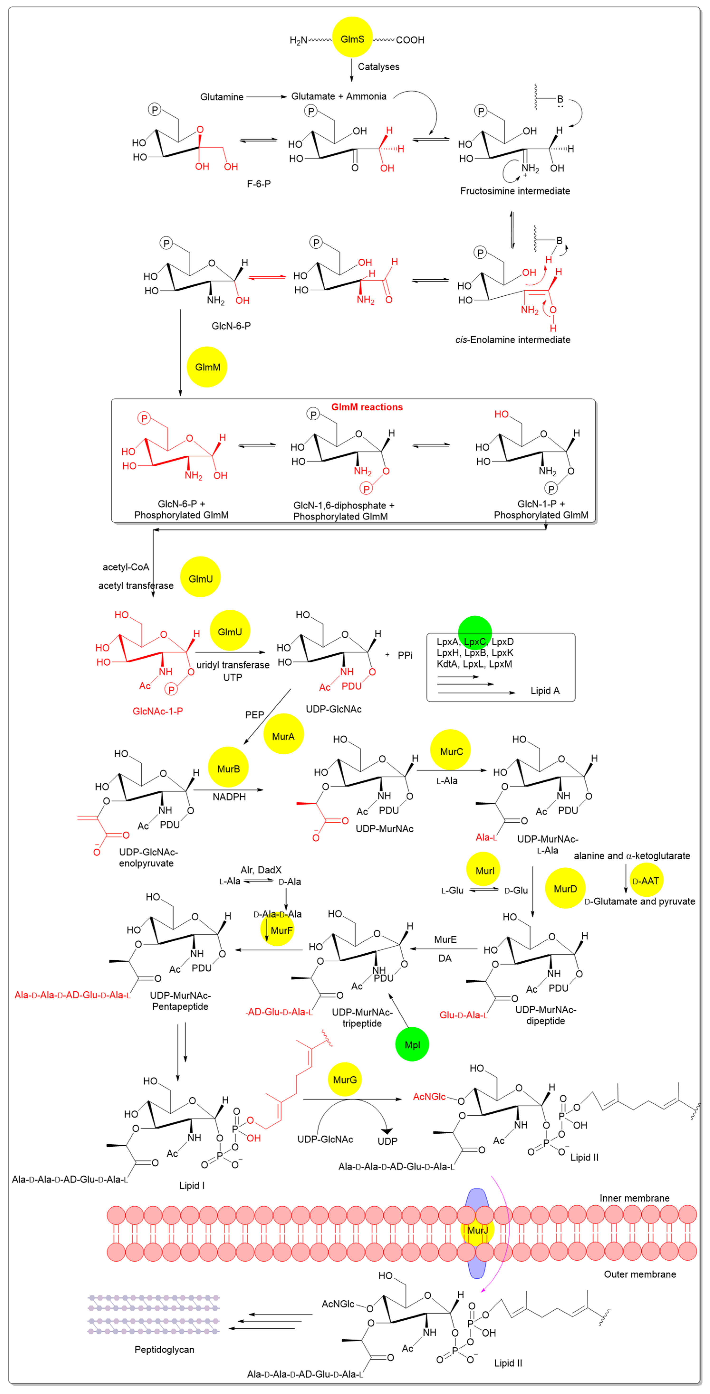 Pharmaceutics 18 00106 g002 Pharmaceutics 18 00106 g002