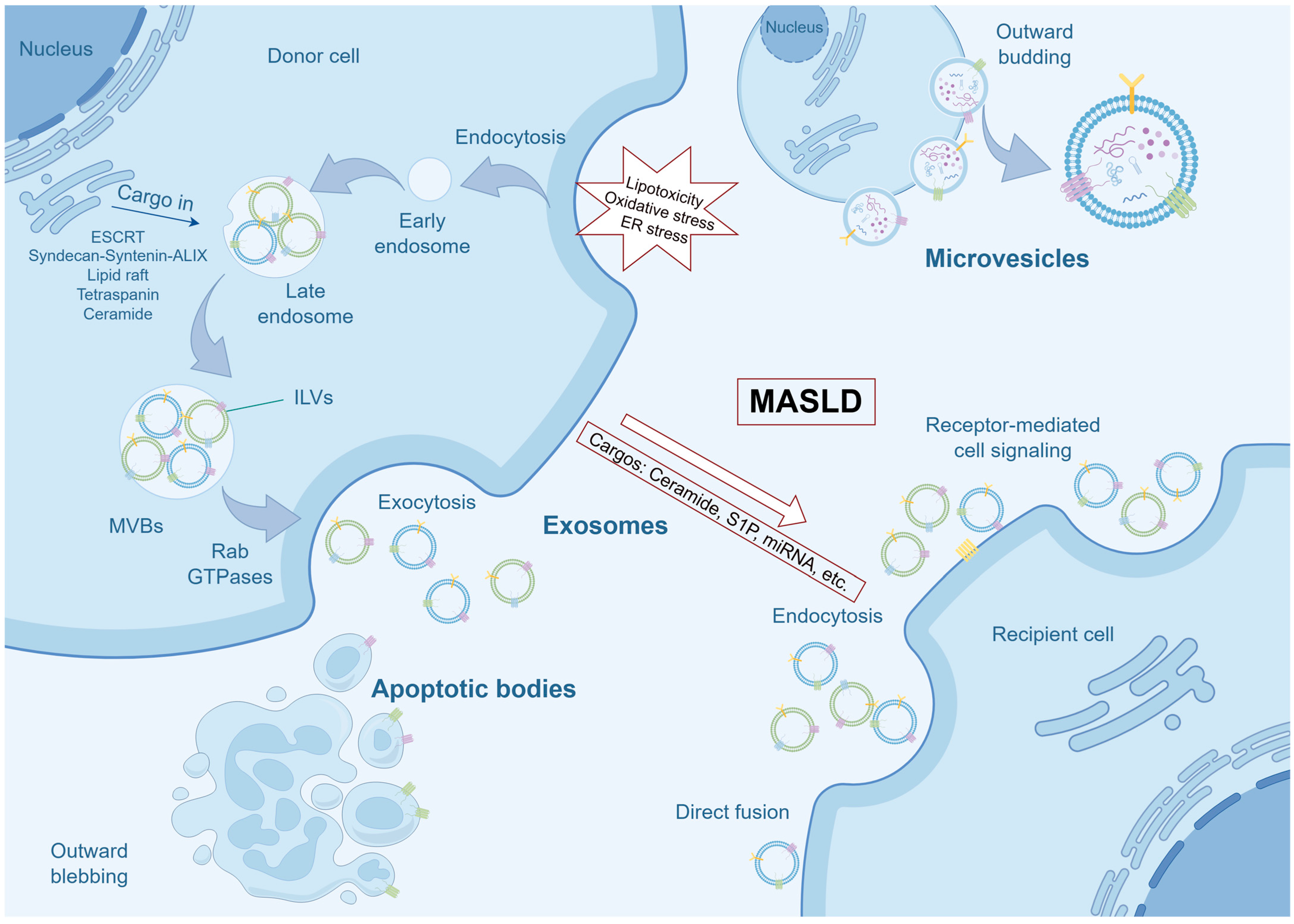 Pharmaceutics 18 00116 g001