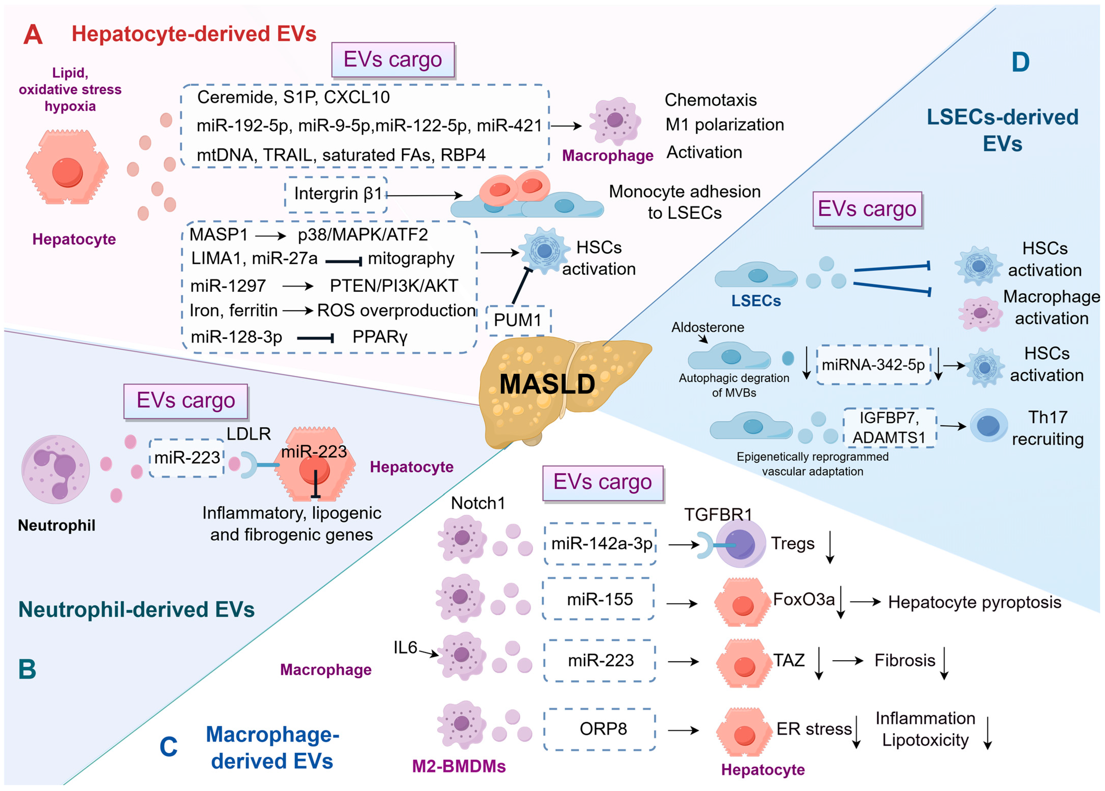 Pharmaceutics 18 00116 g002