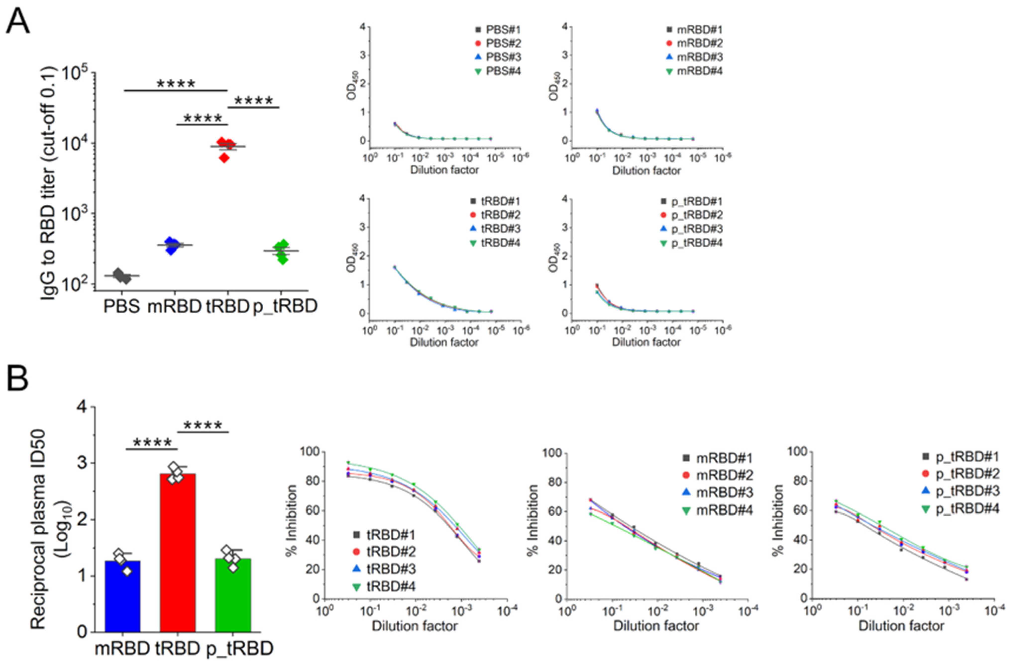 Pharmaceutics 18 00164 g006 Pharmaceutics 18 00164 g006