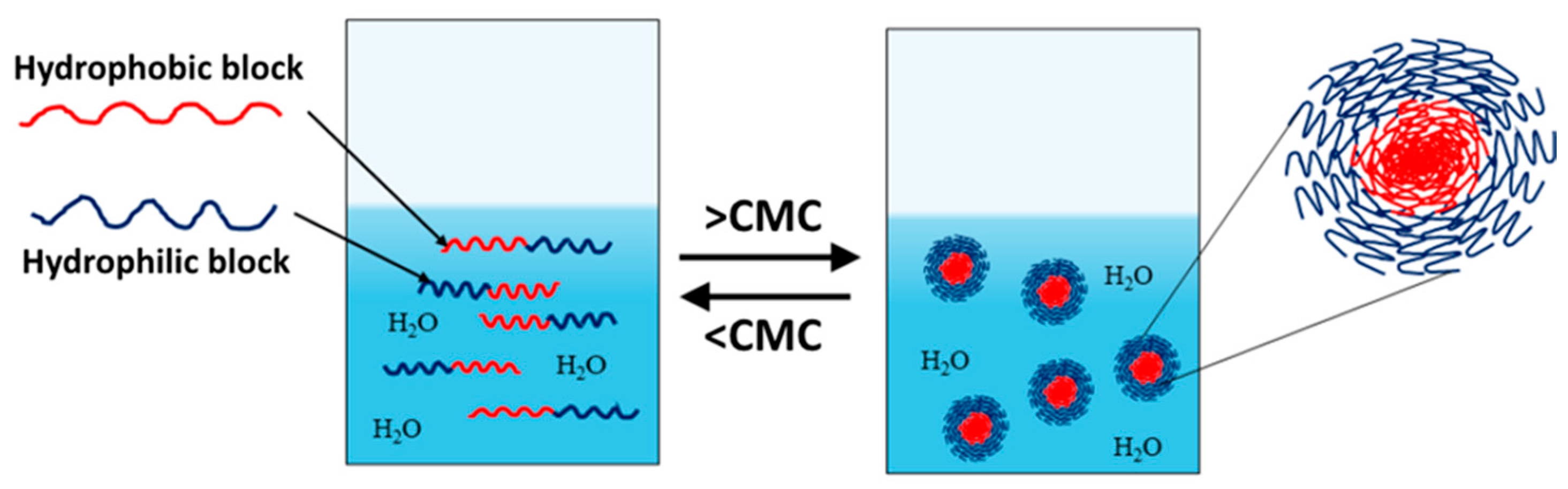 Pharmaceutics 18 00177 g001 Pharmaceutics 18 00177 g001