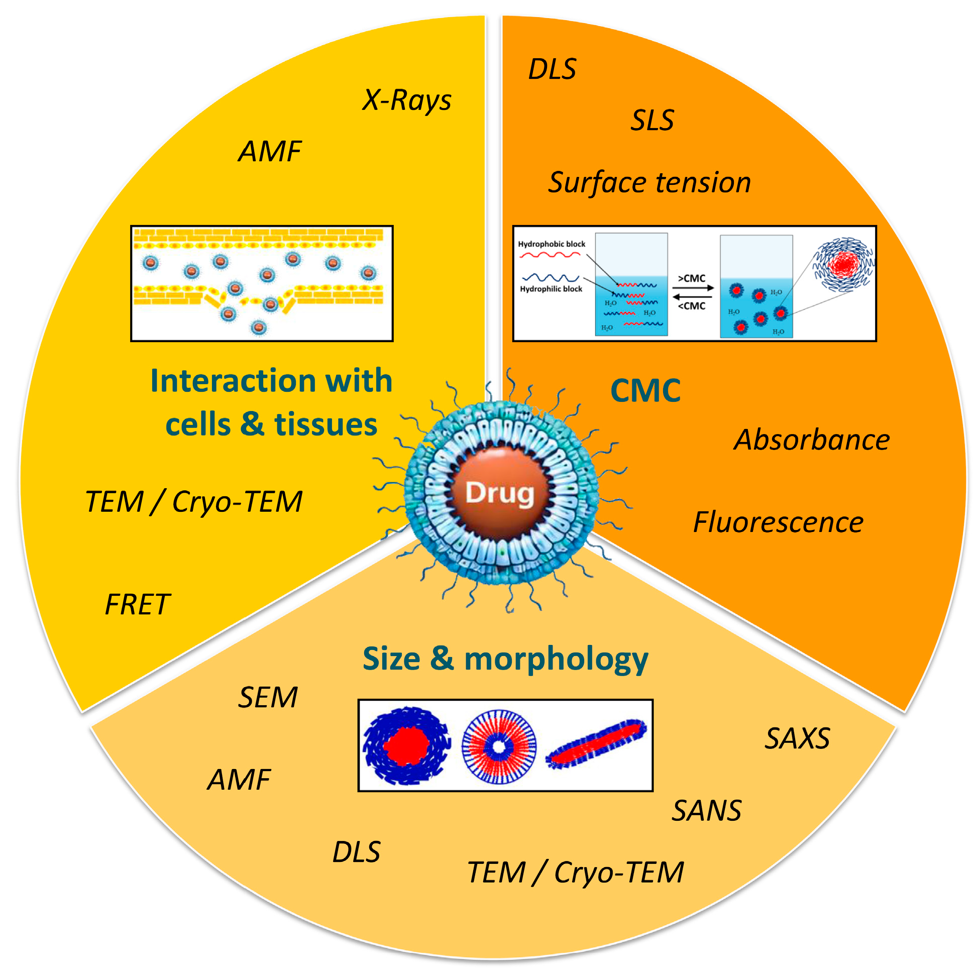 Pharmaceutics 18 00177 g004 Pharmaceutics 18 00177 g004