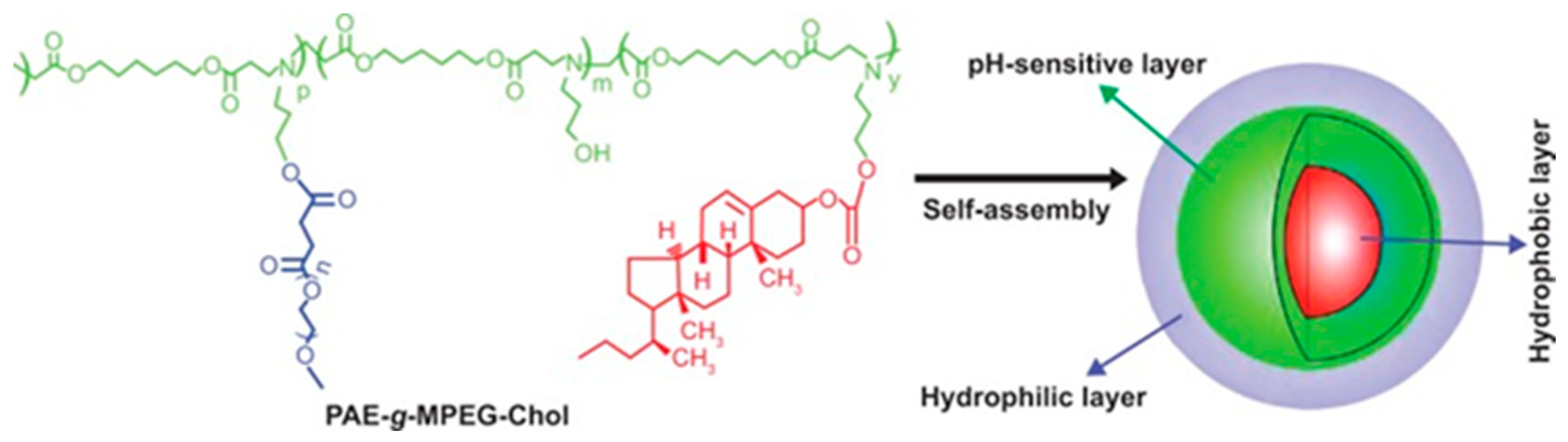 Pharmaceutics 18 00177 g006 Pharmaceutics 18 00177 g006