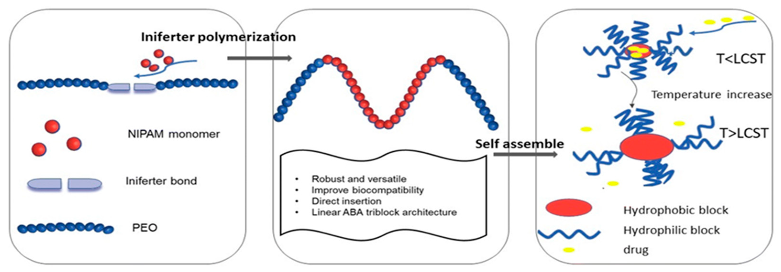 Pharmaceutics 18 00177 g007 Pharmaceutics 18 00177 g007