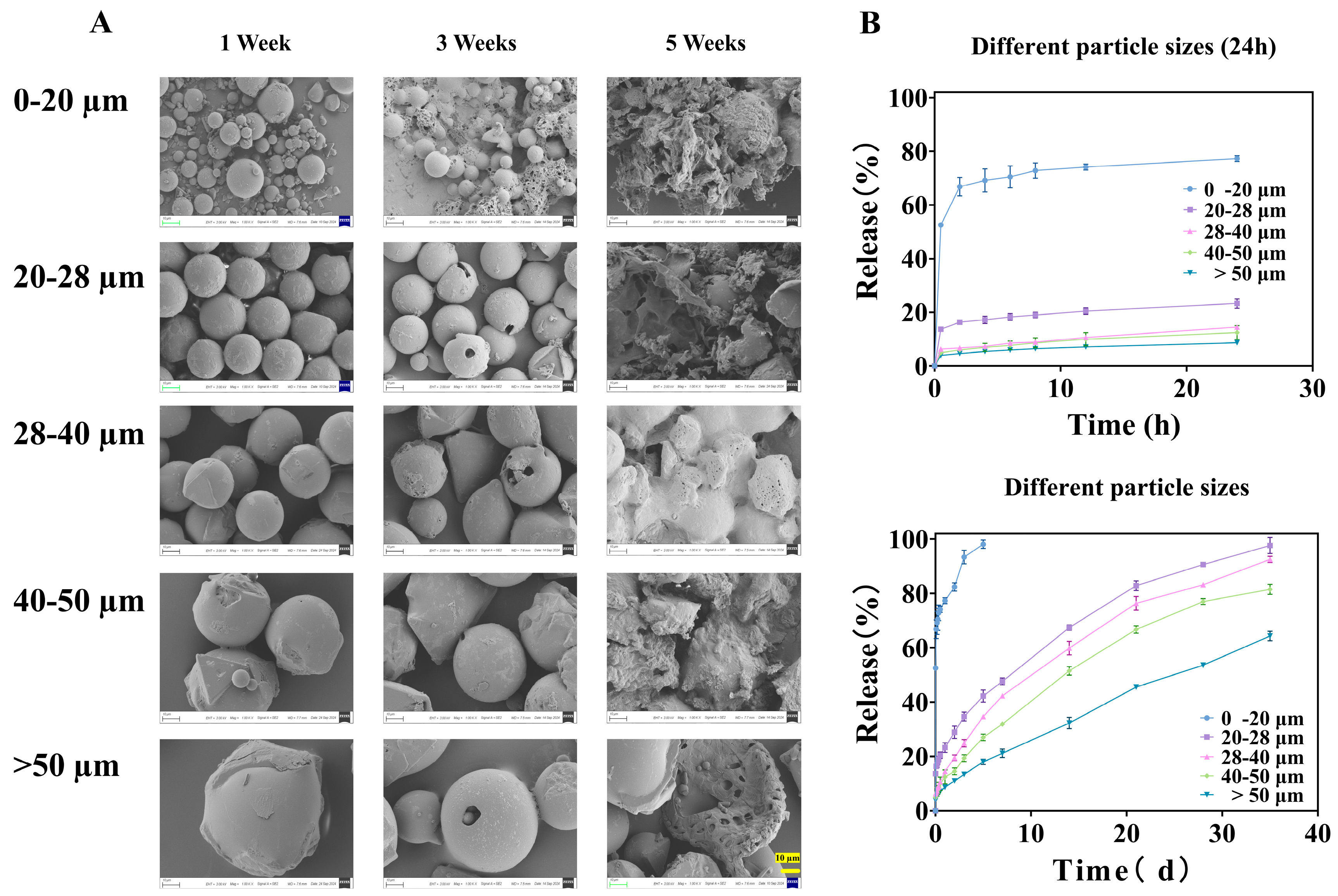 Pharmaceutics 18 00180 g004 Pharmaceutics 18 00180 g004