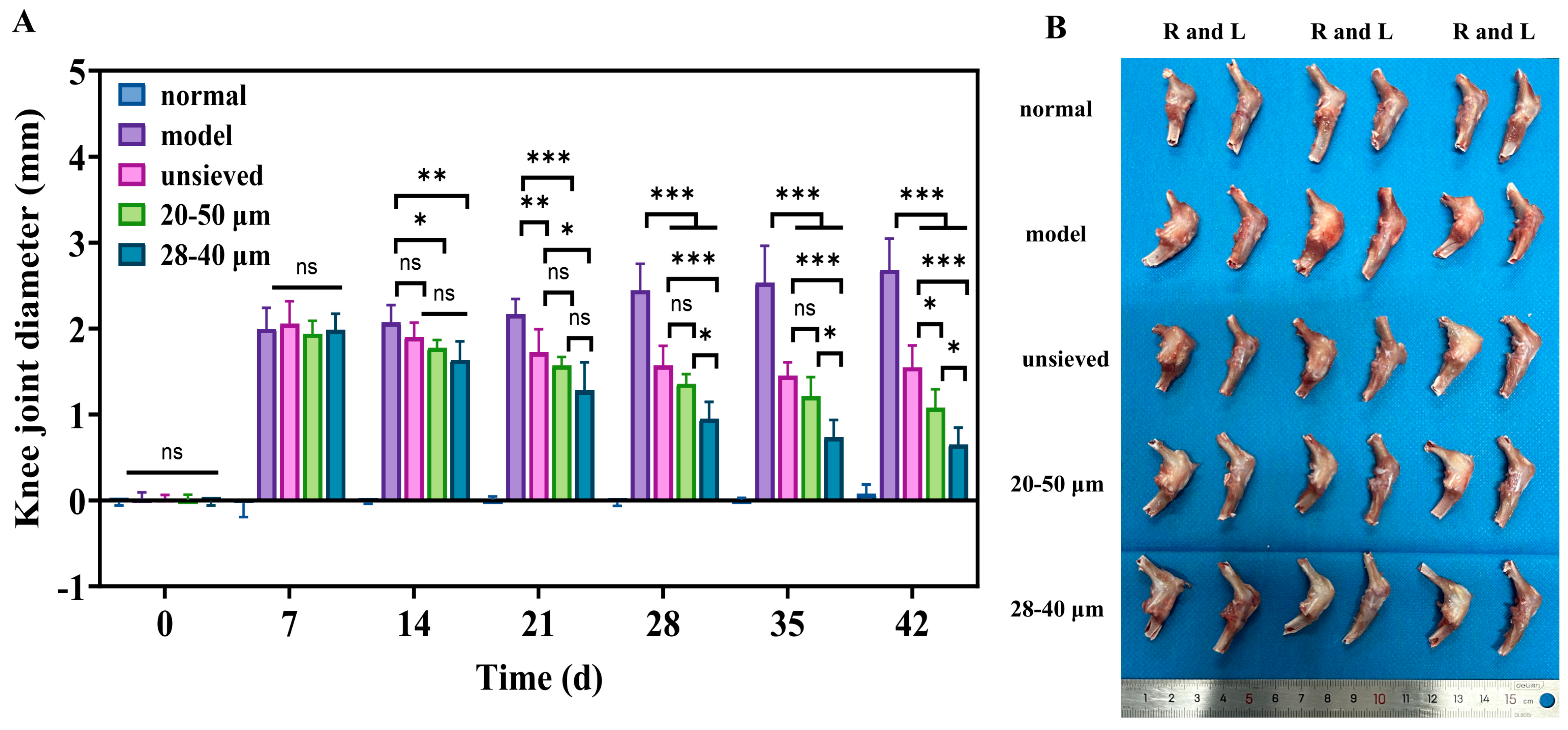 Pharmaceutics 18 00180 g007 Pharmaceutics 18 00180 g007