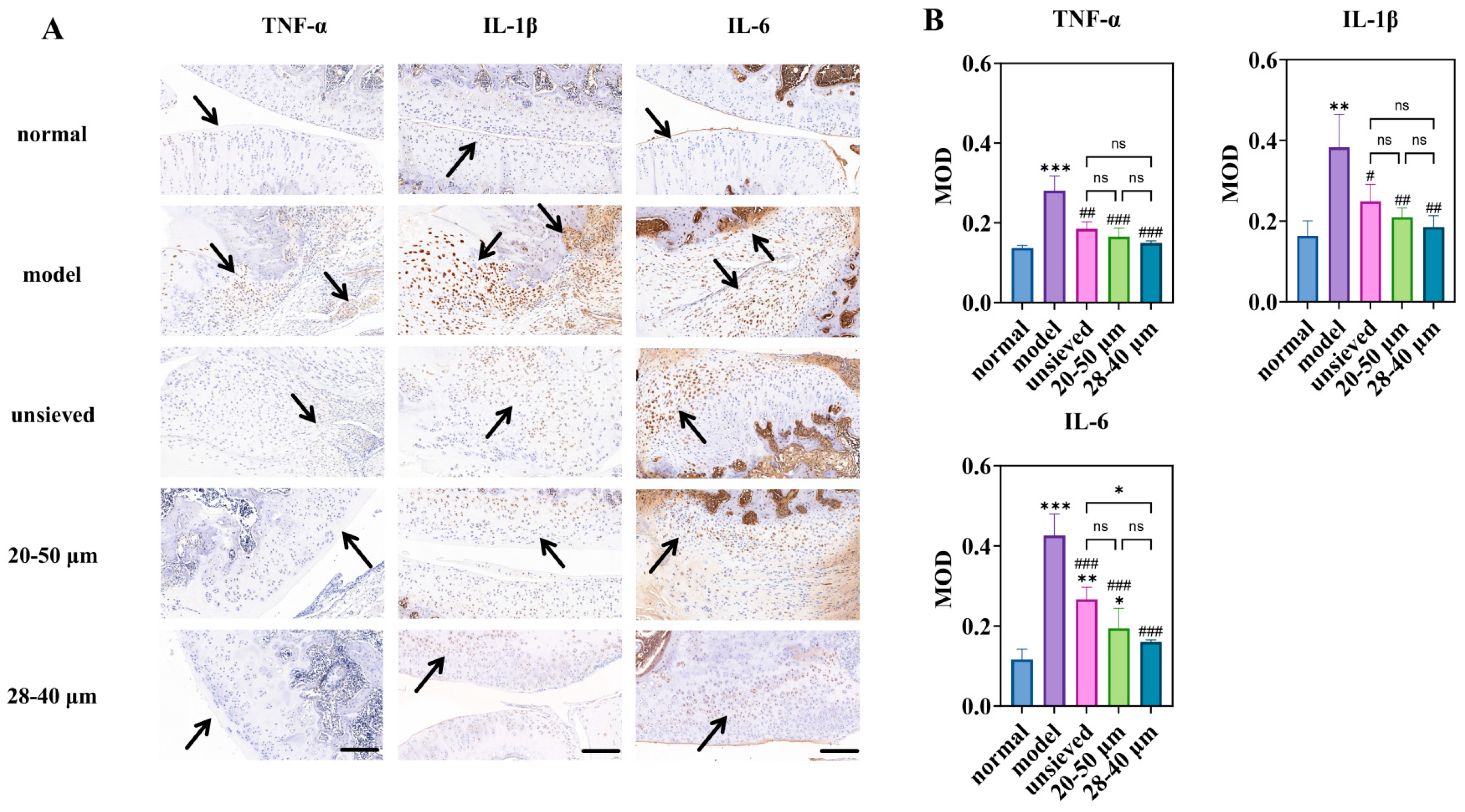 Pharmaceutics 18 00180 g008 Pharmaceutics 18 00180 g008