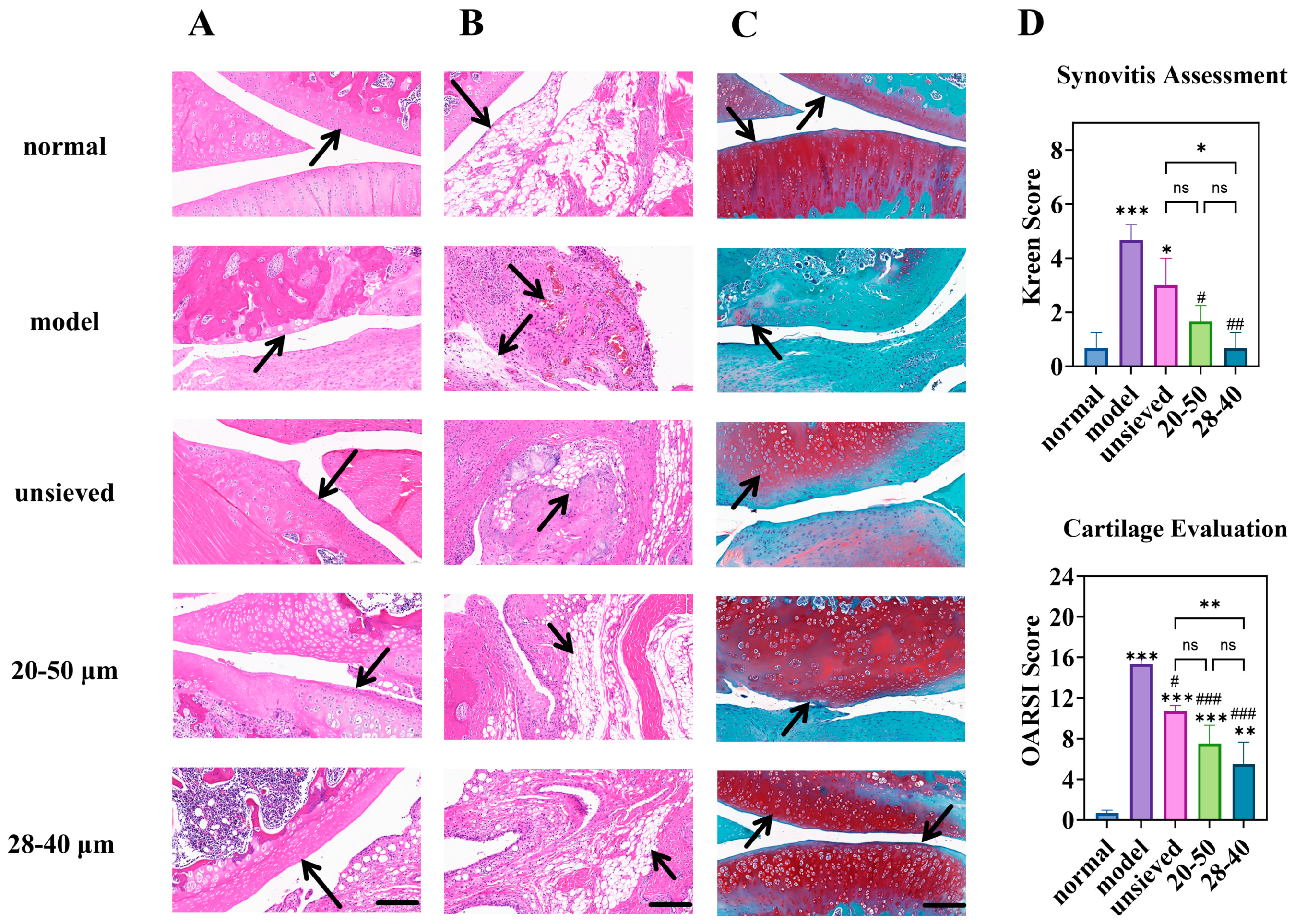 Pharmaceutics 18 00180 g009 Pharmaceutics 18 00180 g009