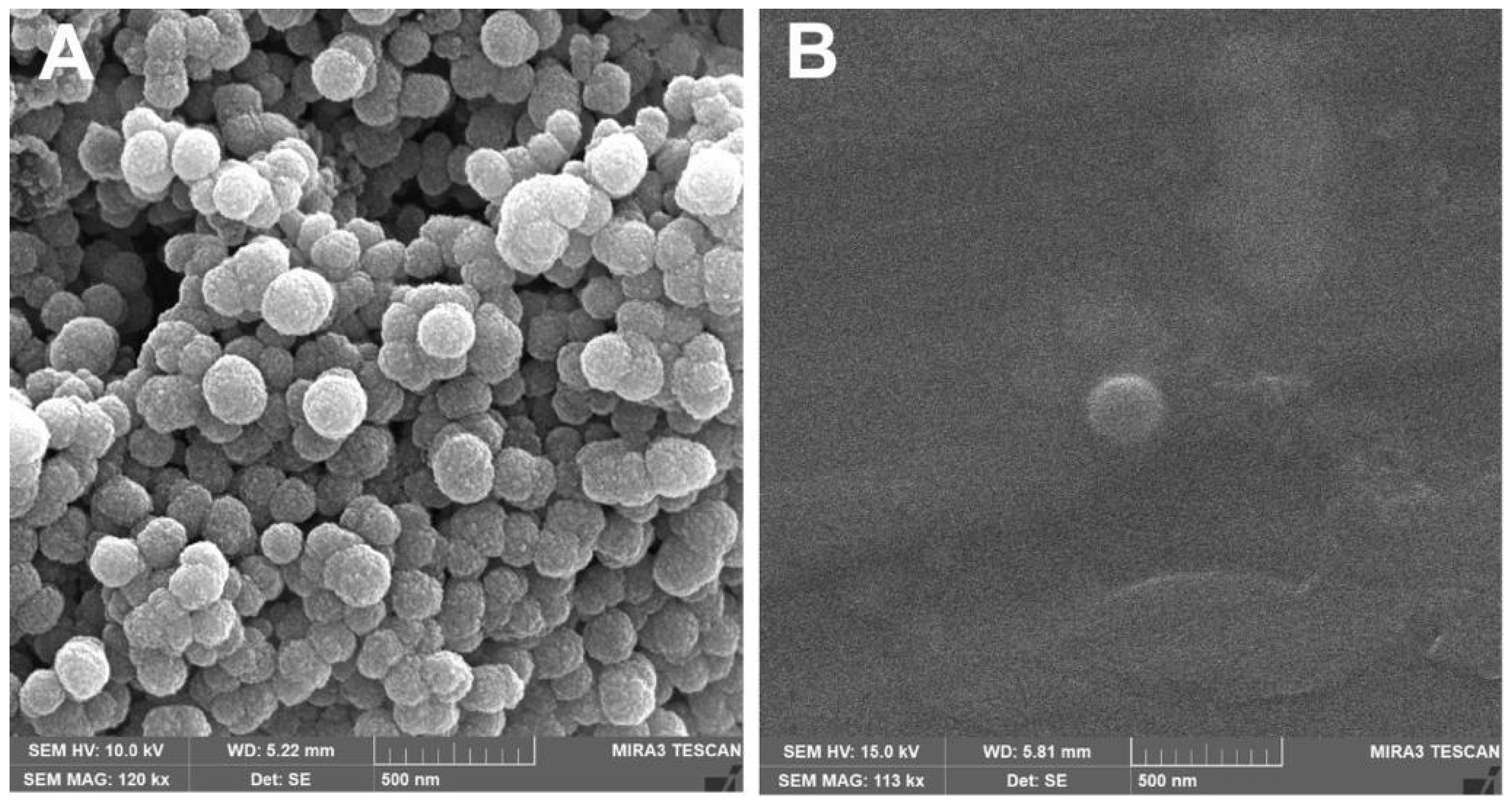 Pharmaceutics 18 00183 g003 Pharmaceutics 18 00183 g003