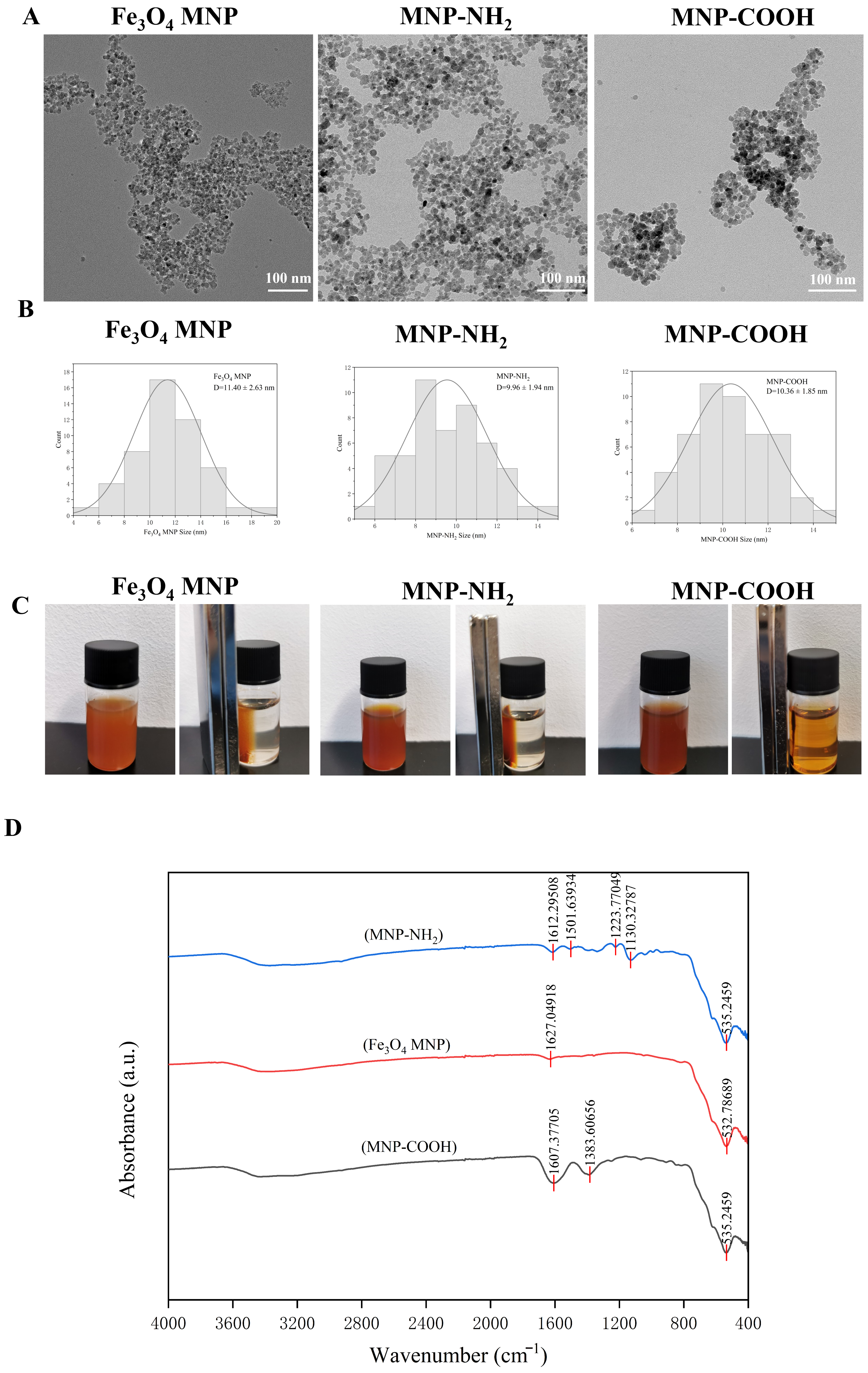 Pharmaceutics 18 00231 g001