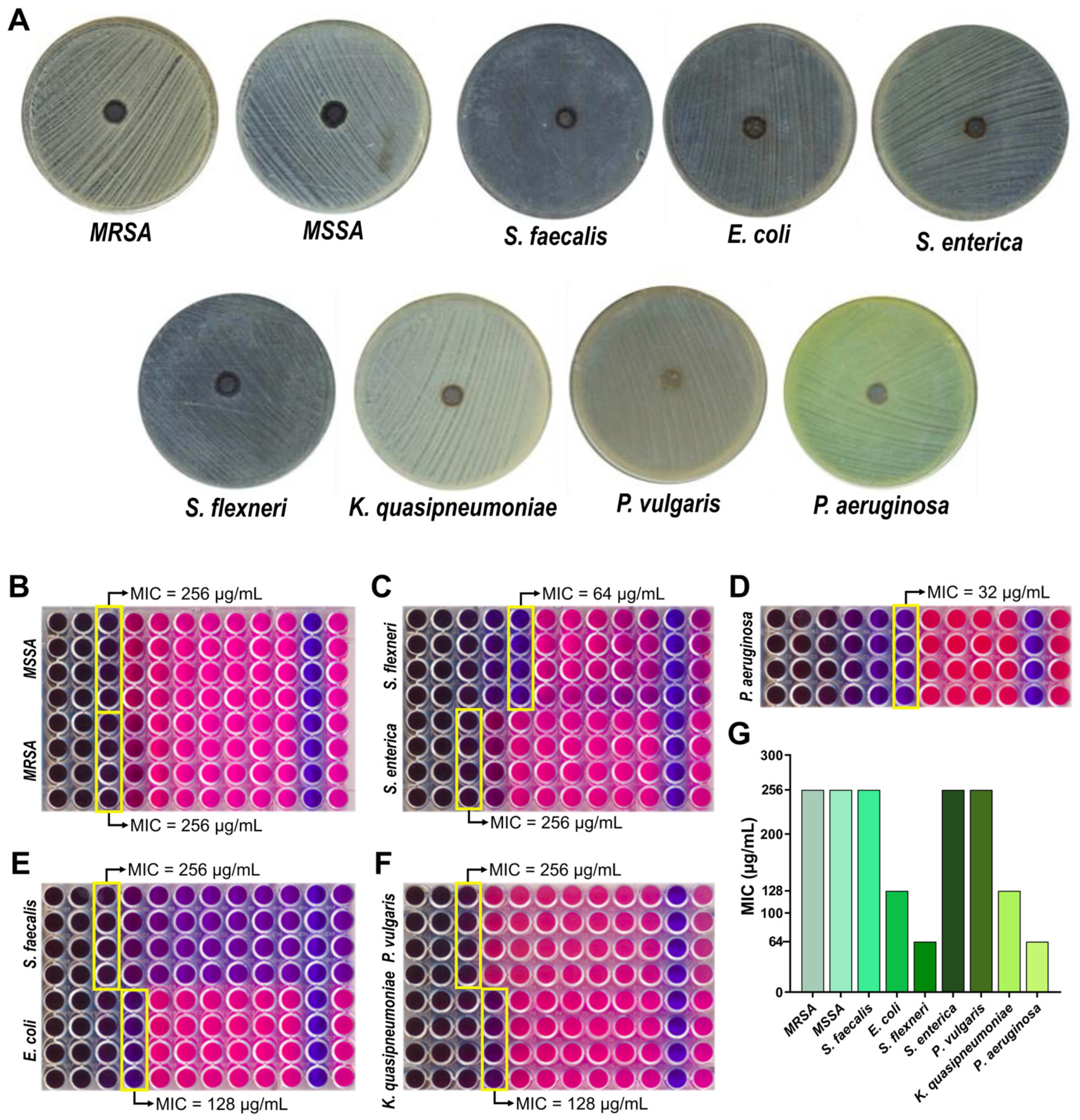 Pharmaceutics 18 00261 g004