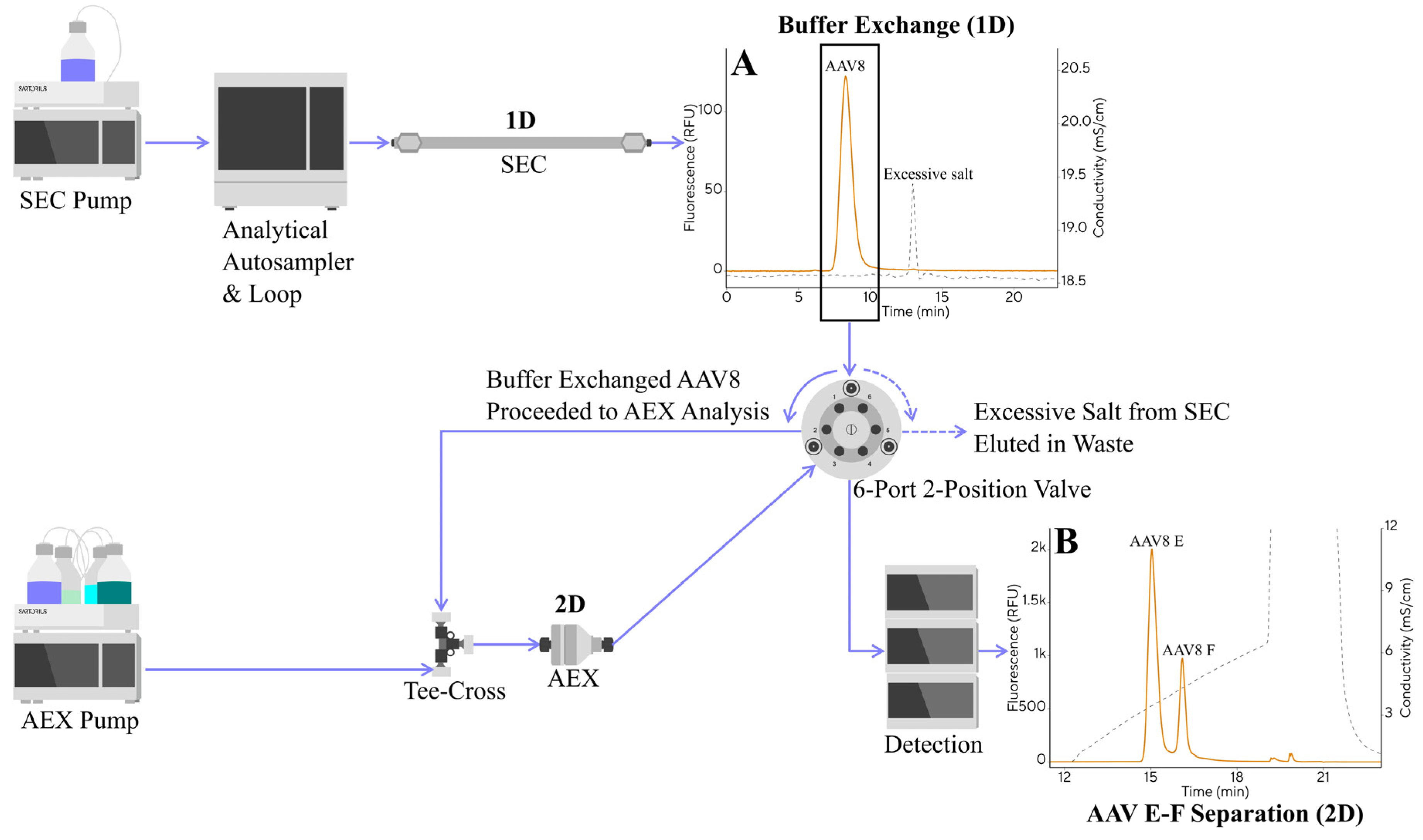 Pharmaceutics 18 00263 g006 Pharmaceutics 18 00263 g006