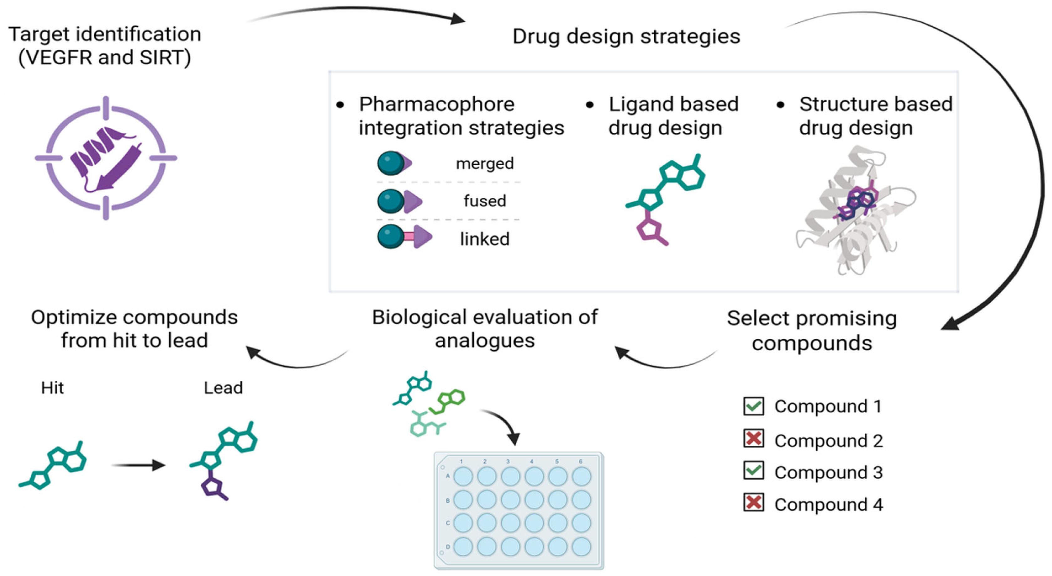 Pharmaceutics 18 00273 g001