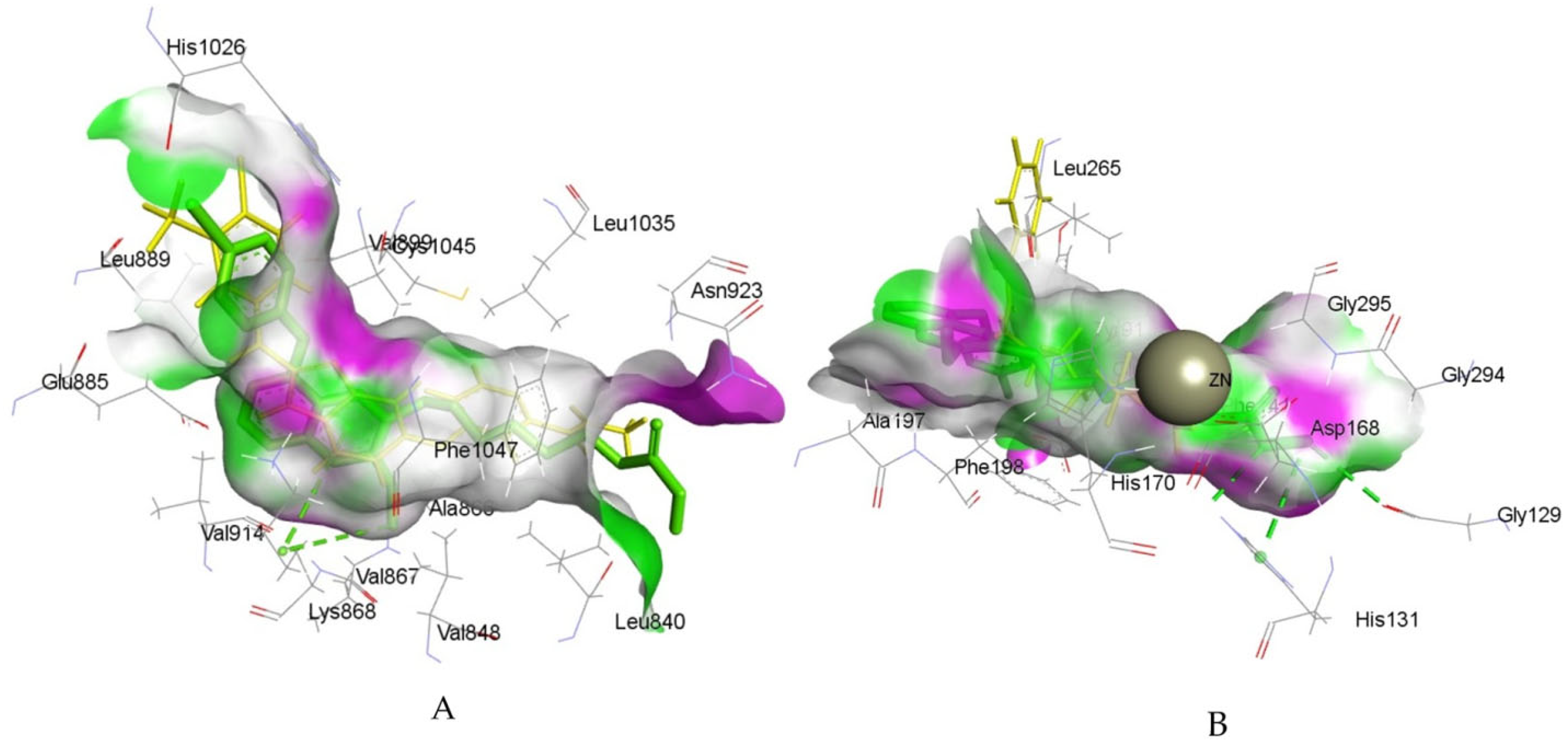 Pharmaceutics 18 00273 g003