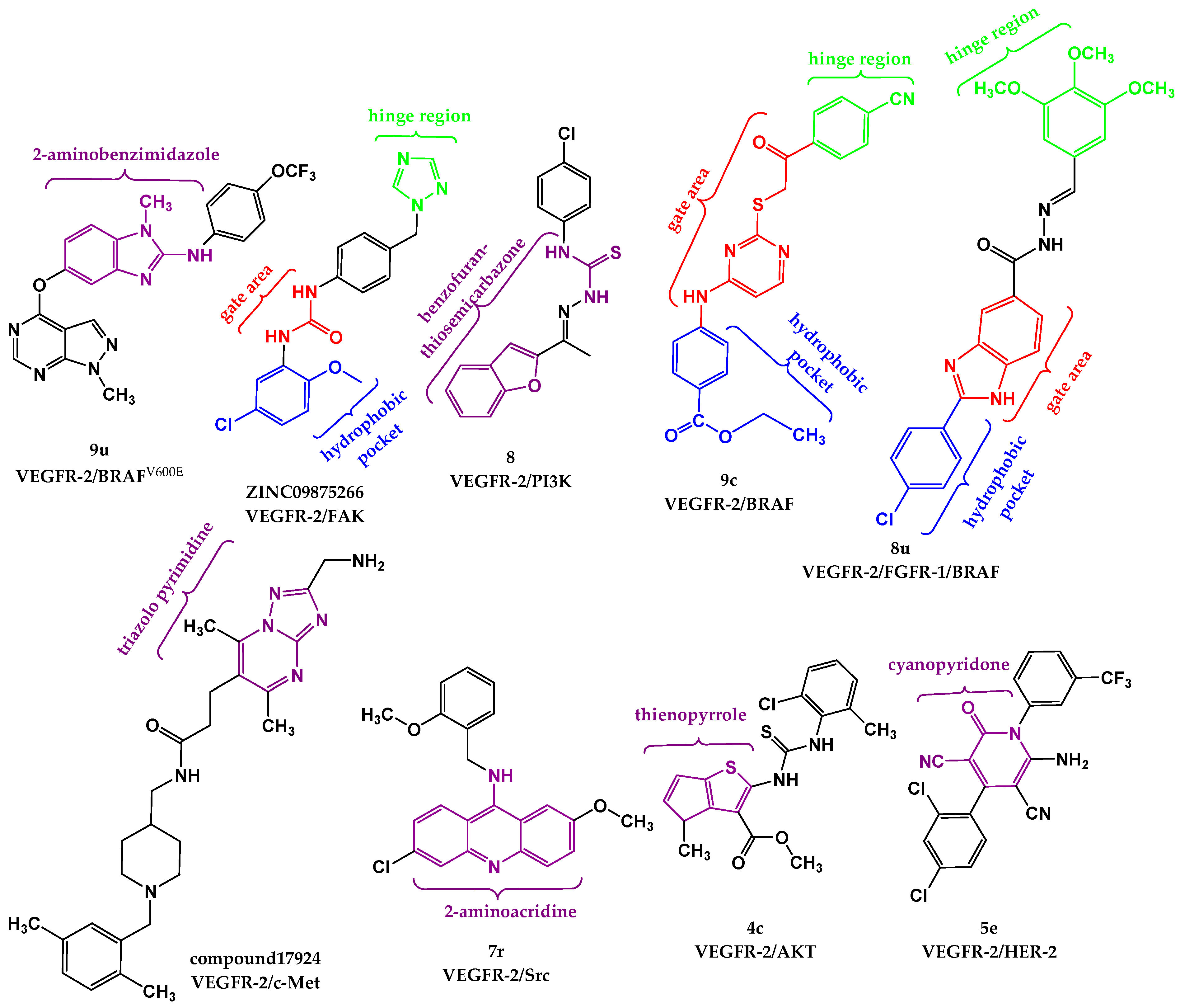 Pharmaceutics 18 00273 g008