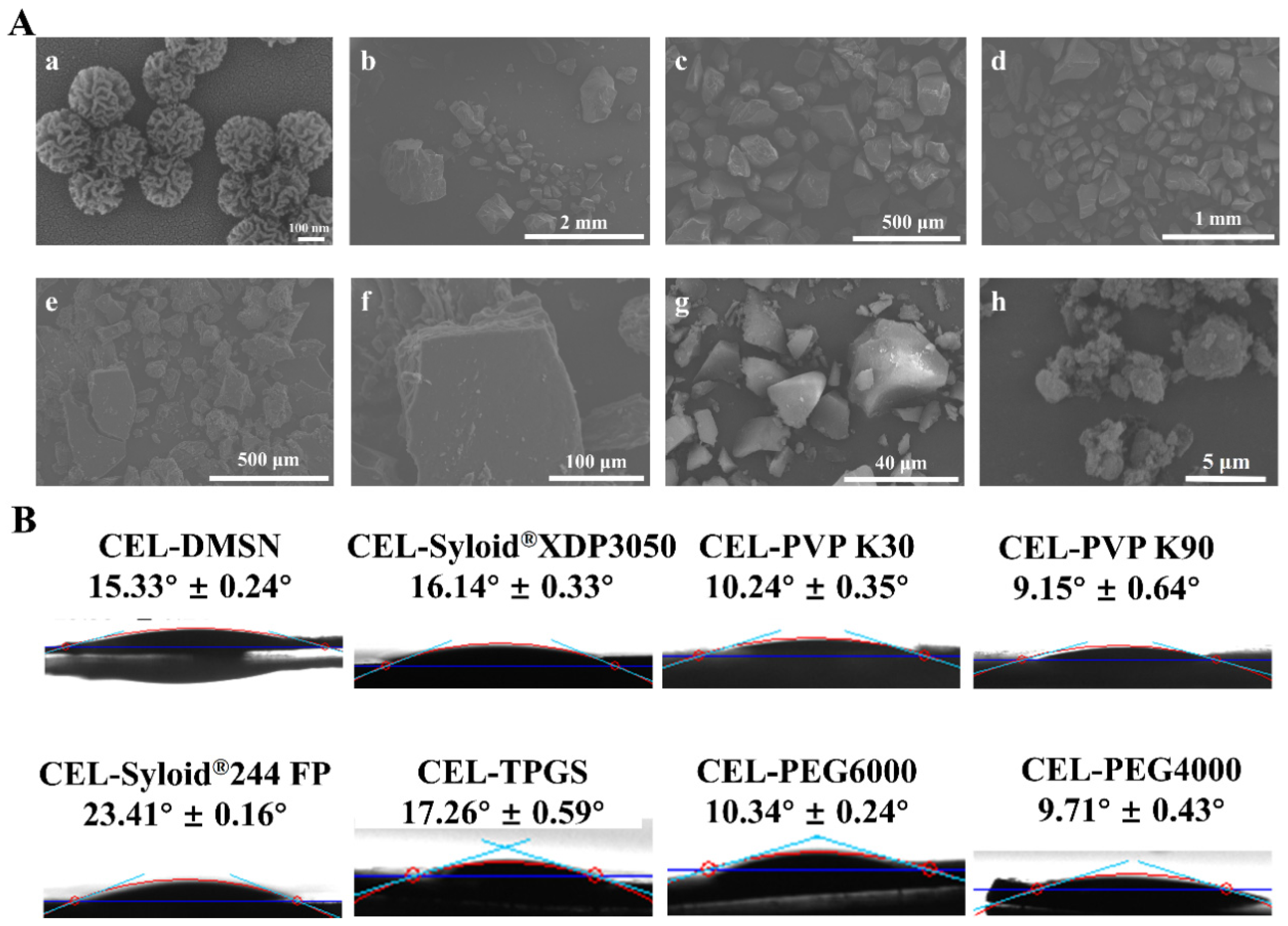 Pharmaceutics 18 00311 g005 Pharmaceutics 18 00311 g005