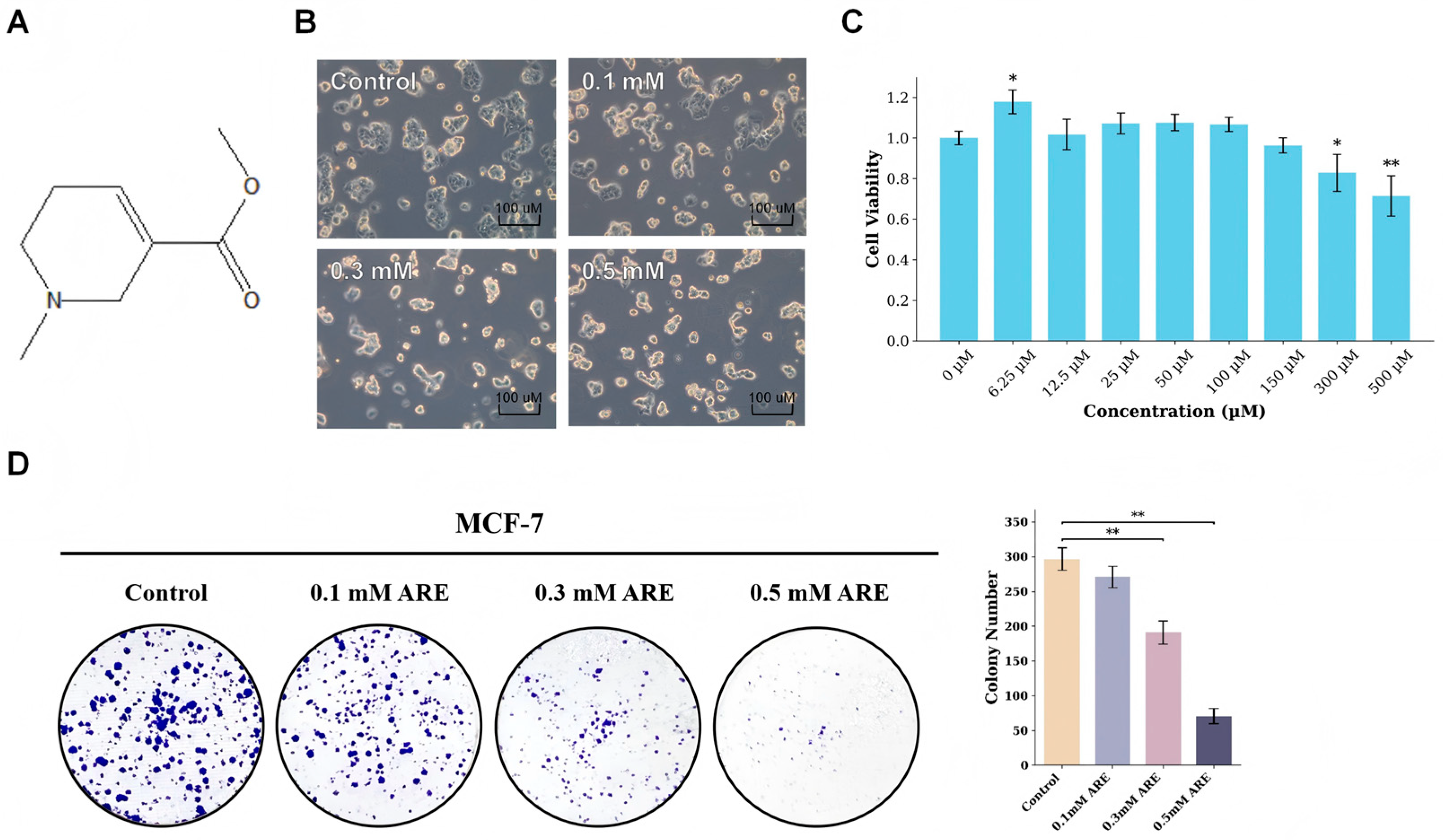 Pharmaceutics 18 00324 g001