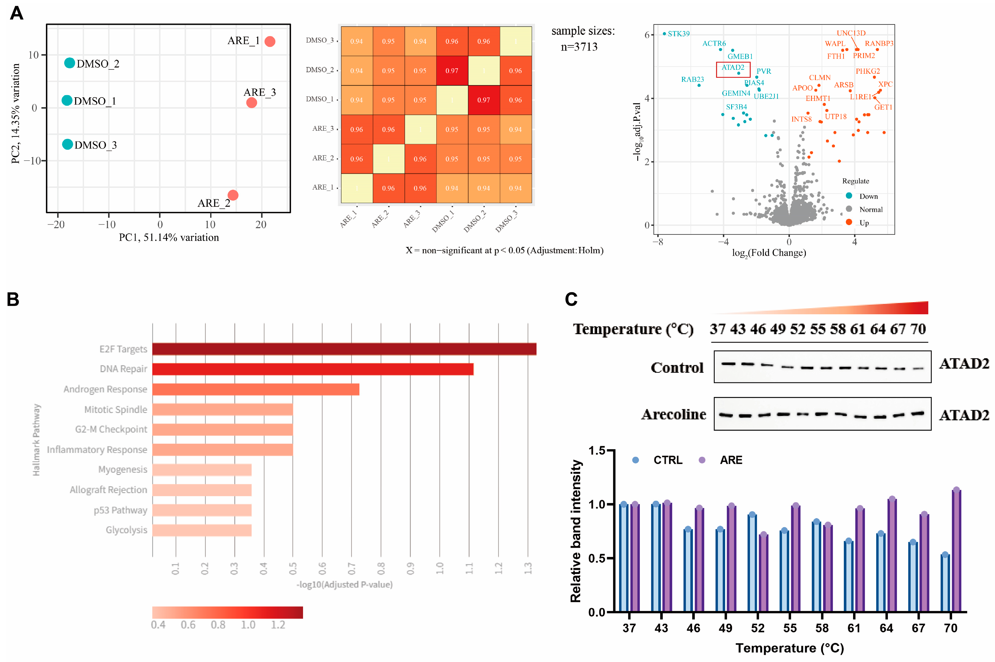Pharmaceutics 18 00324 g003