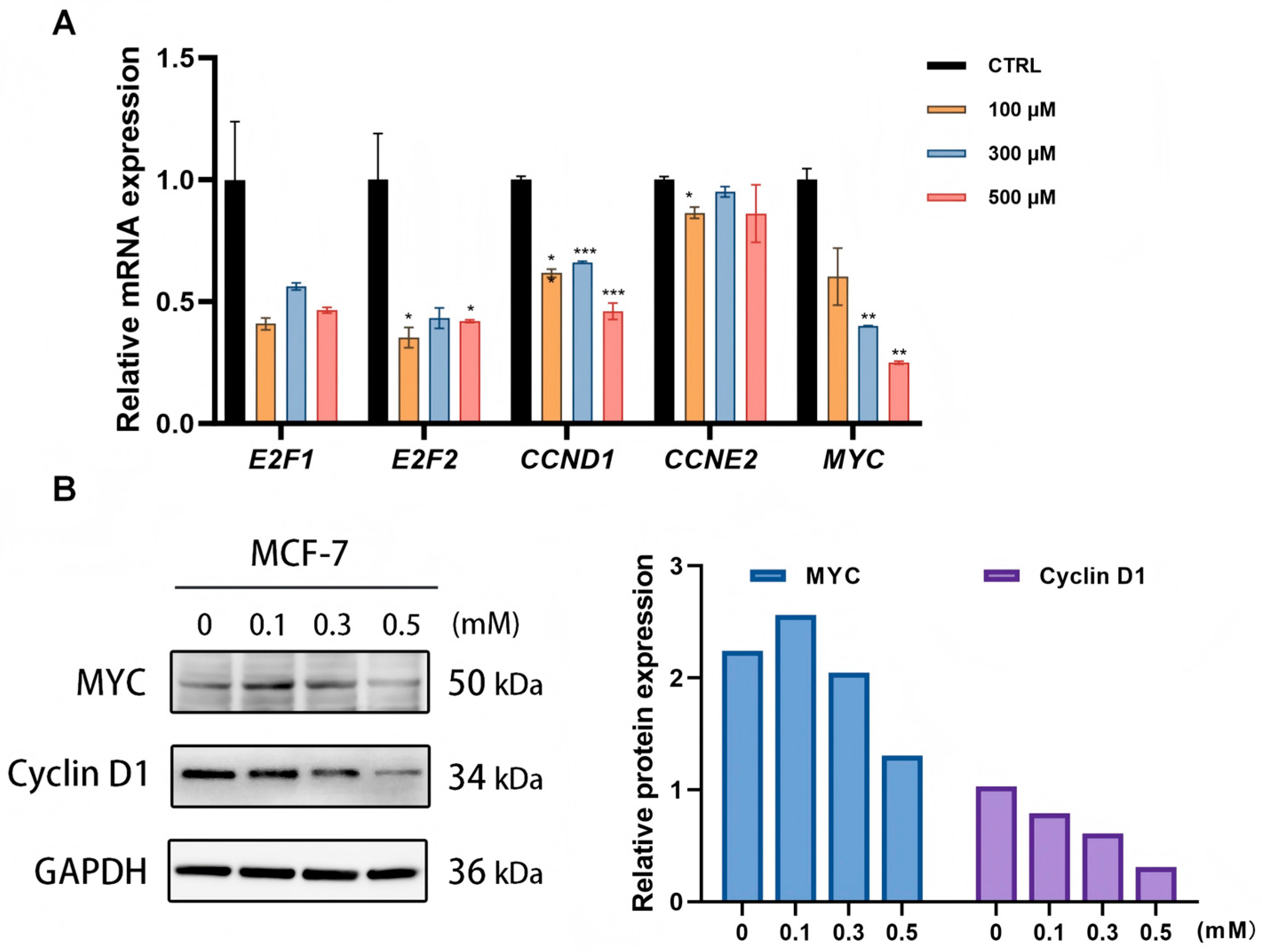 Pharmaceutics 18 00324 g004