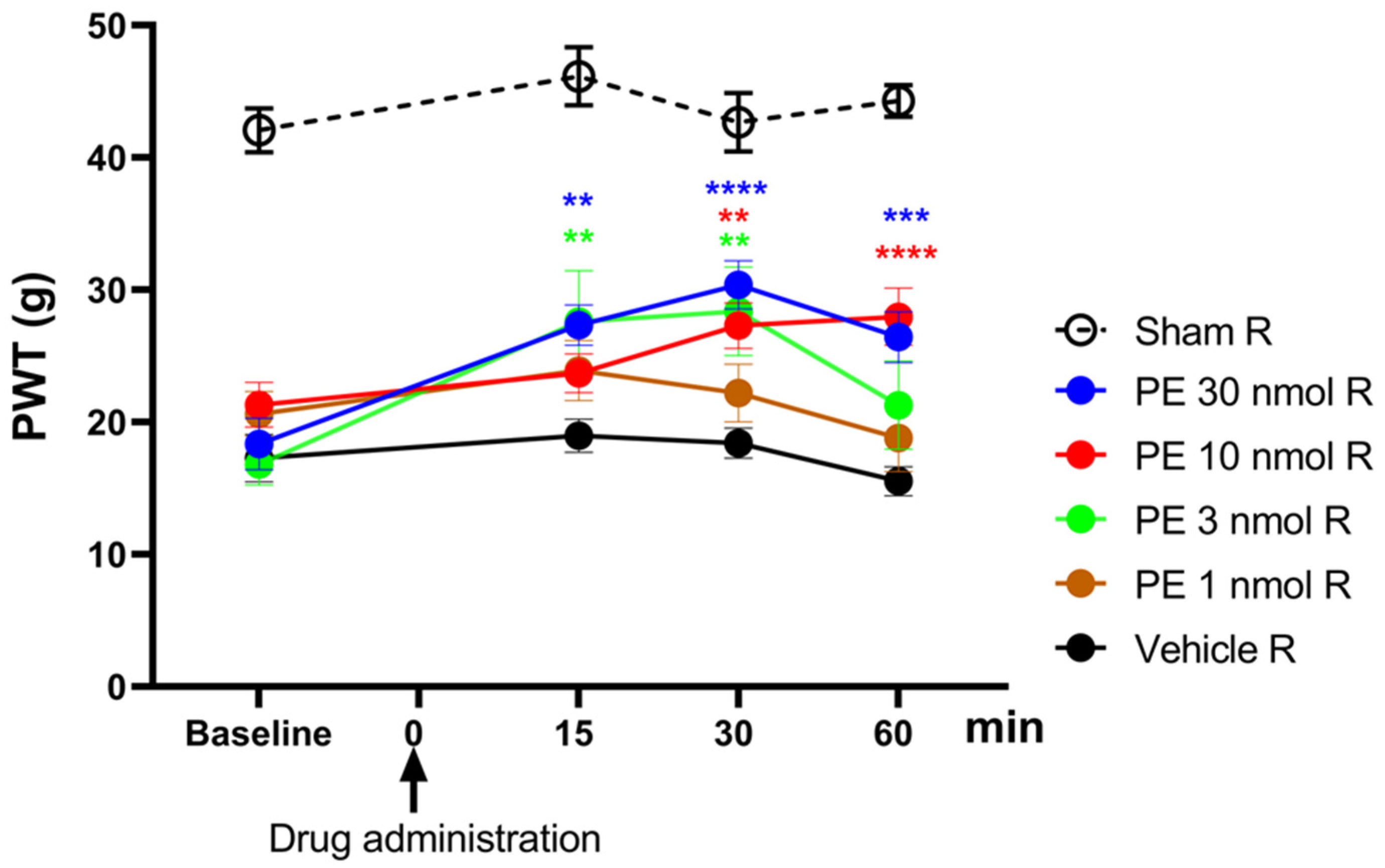 Pharmaceutics 18 00334 g001