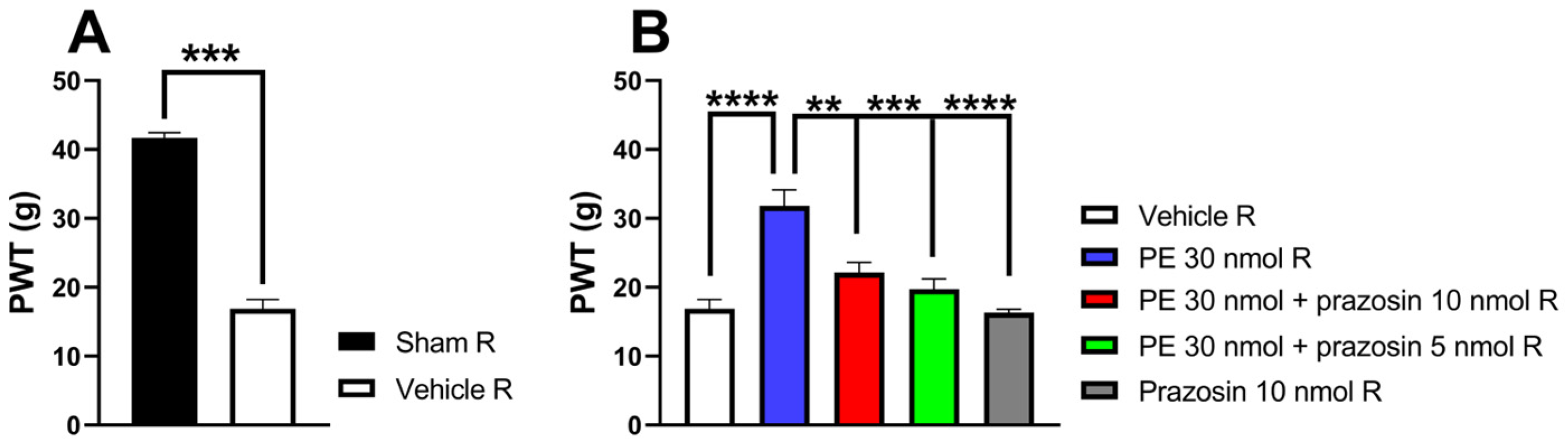 Pharmaceutics 18 00334 g002