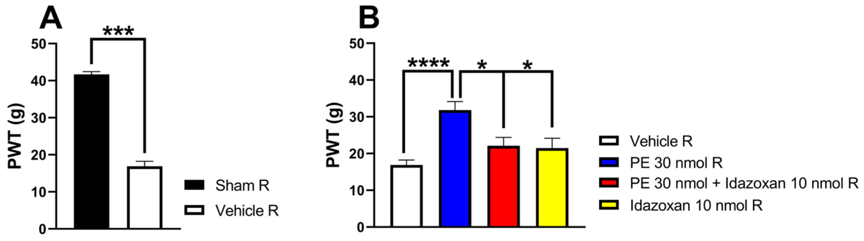 Pharmaceutics 18 00334 g003