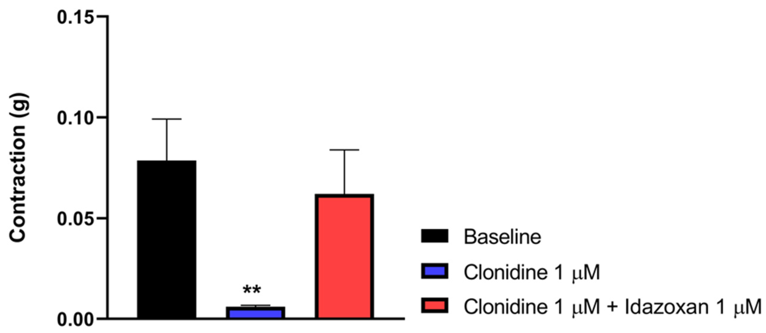 Pharmaceutics 18 00334 g008